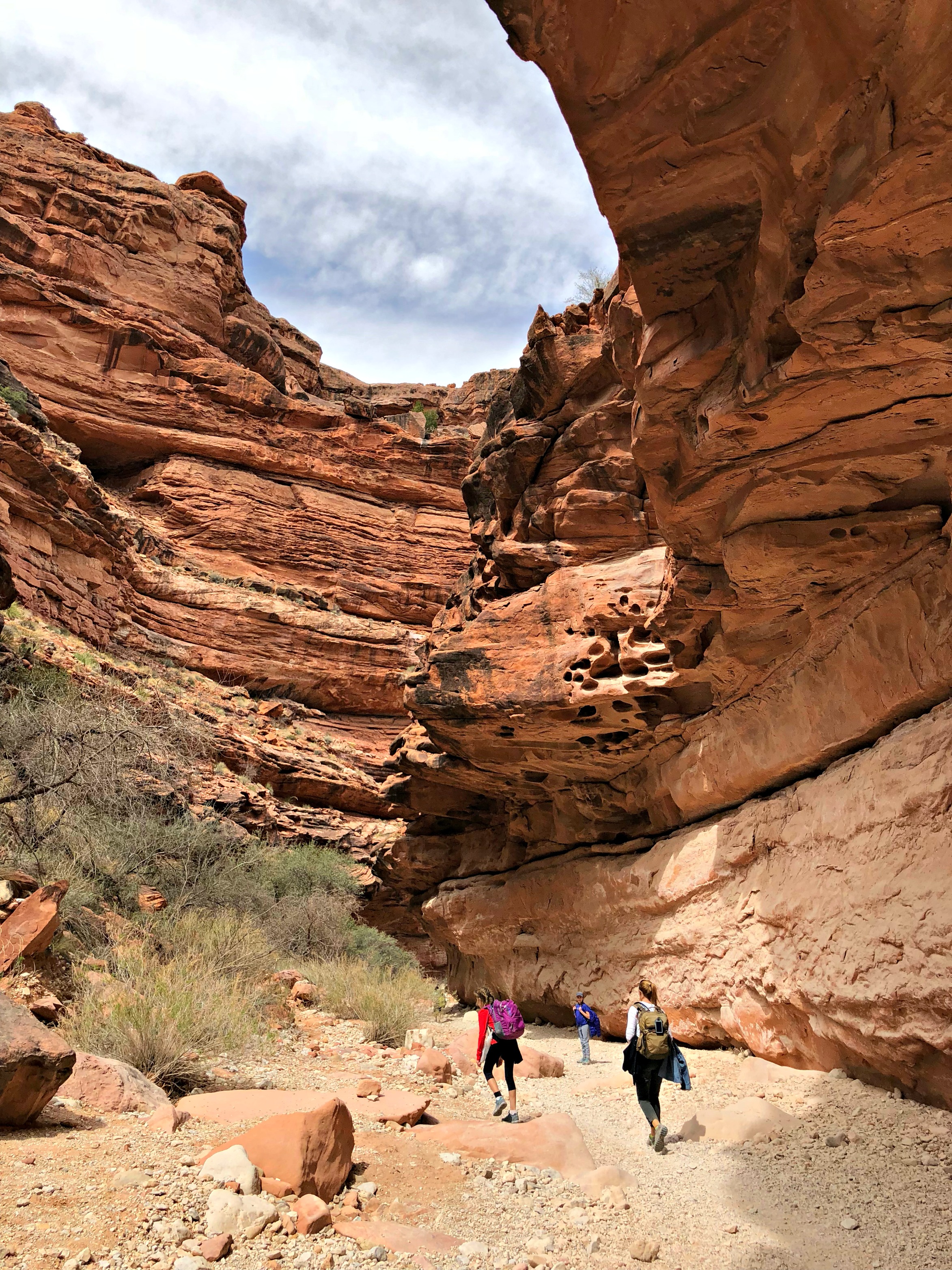 along-canyon-wall-havasupai-trail