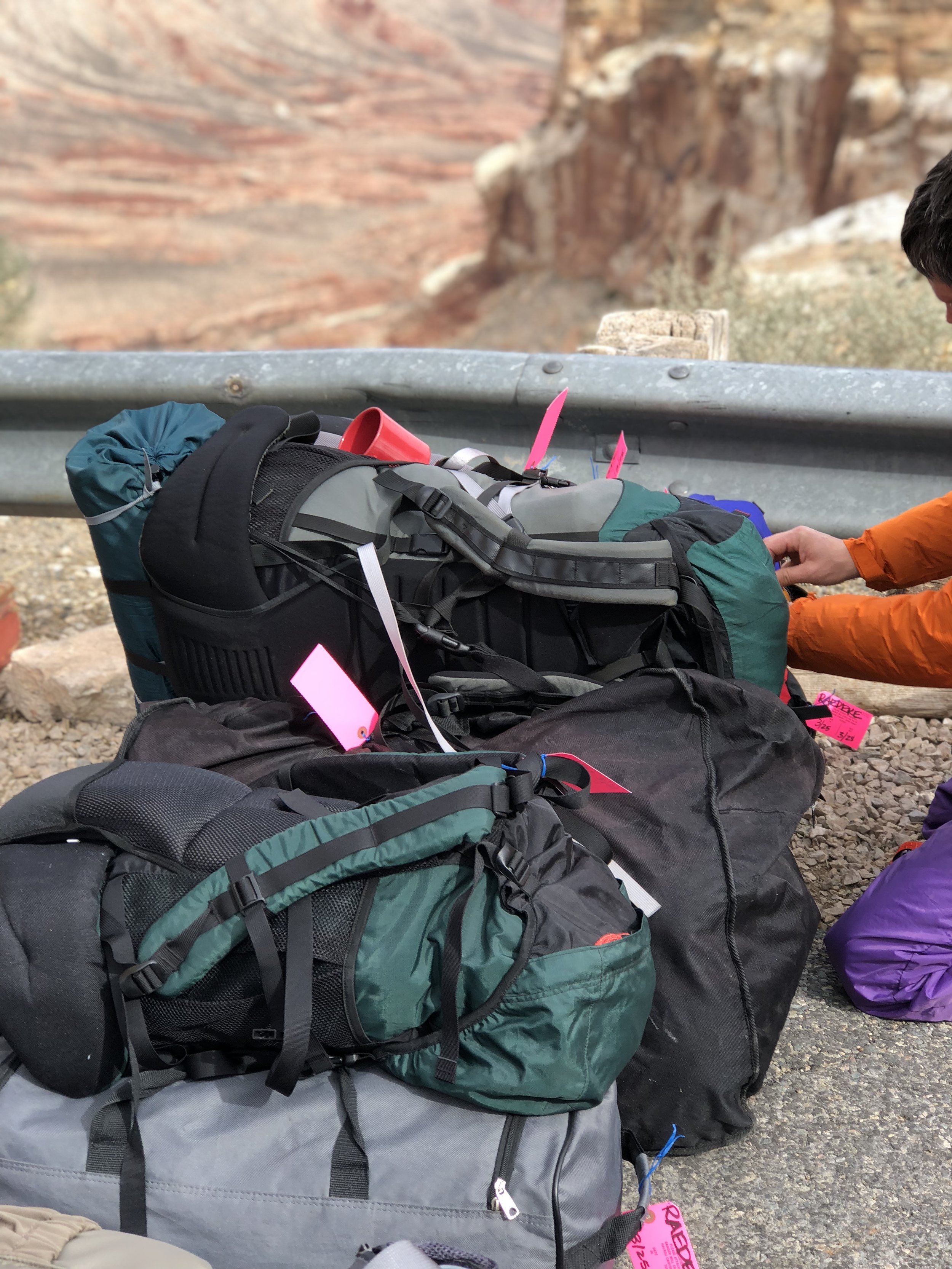 bags-packed-mules-havasupai-trail