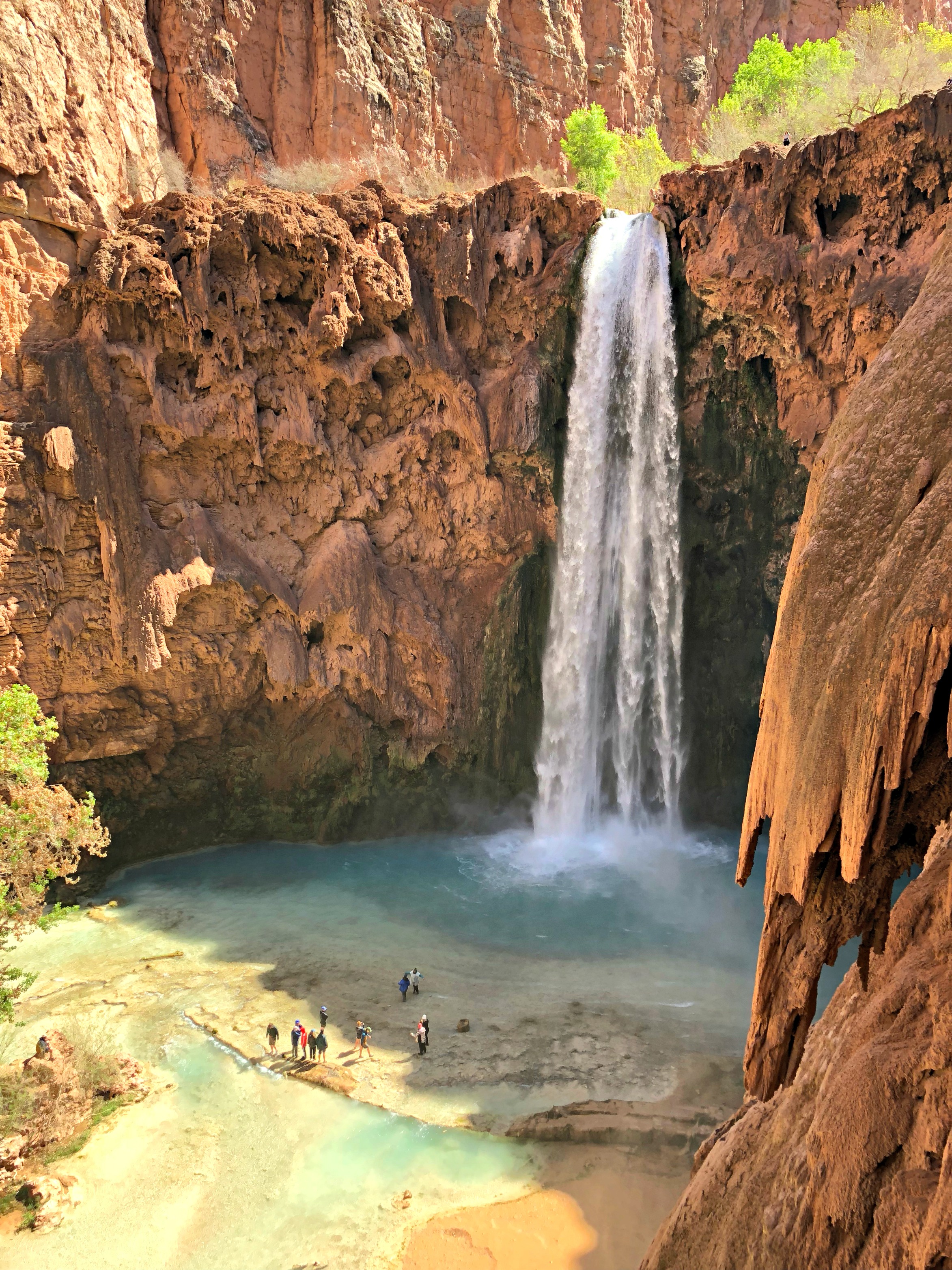 mooney-falls-overlook-before-ladders