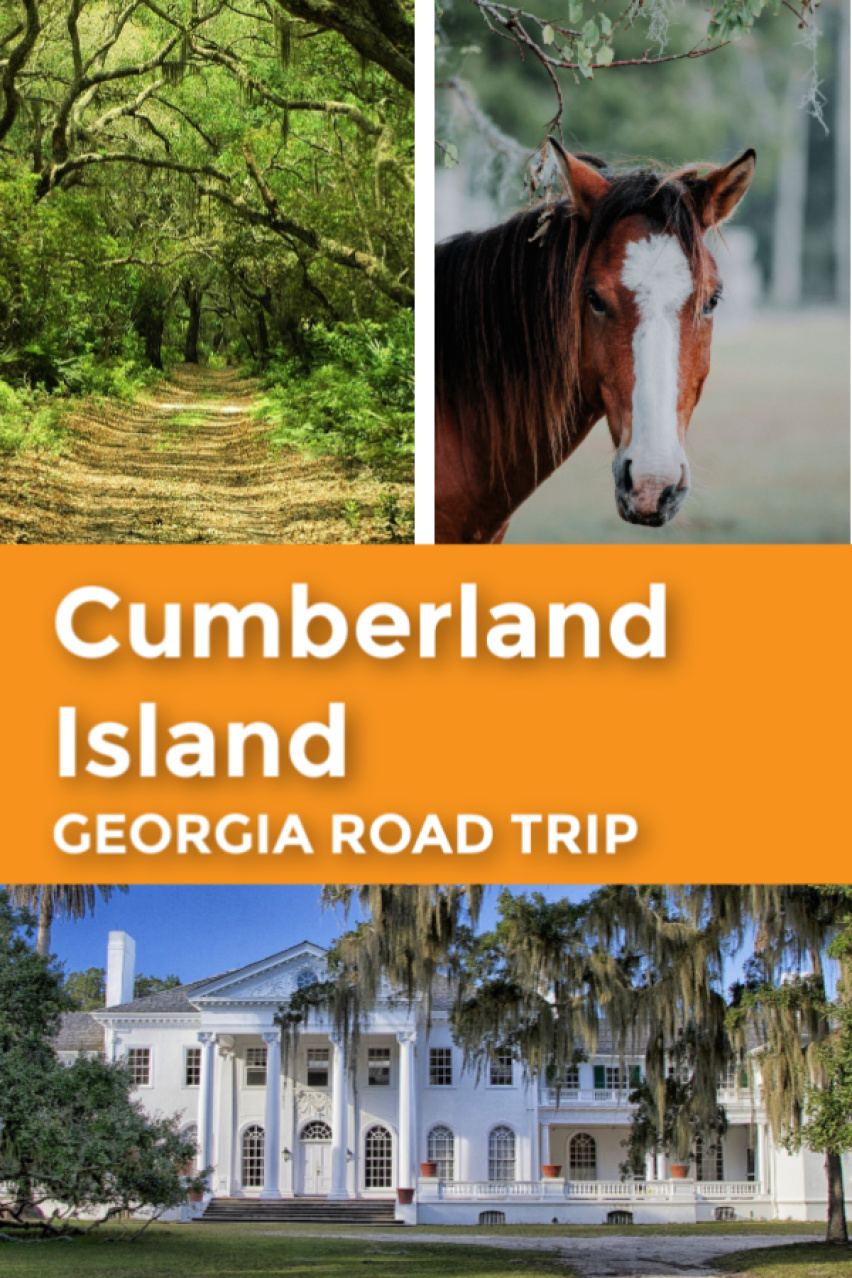 Cumberland Island Georgia Road Trip pin 3.jpg
