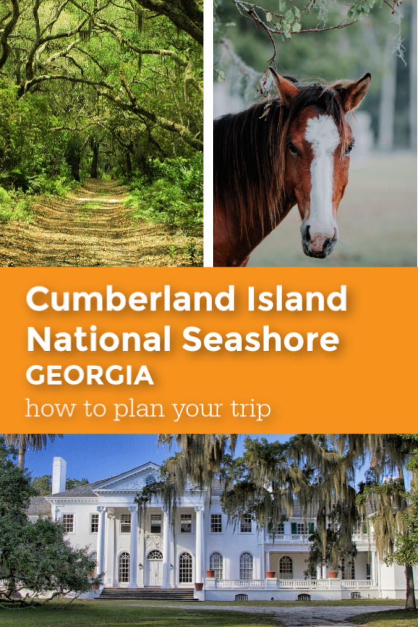 Cumberland Island National Seashore pin.jpg