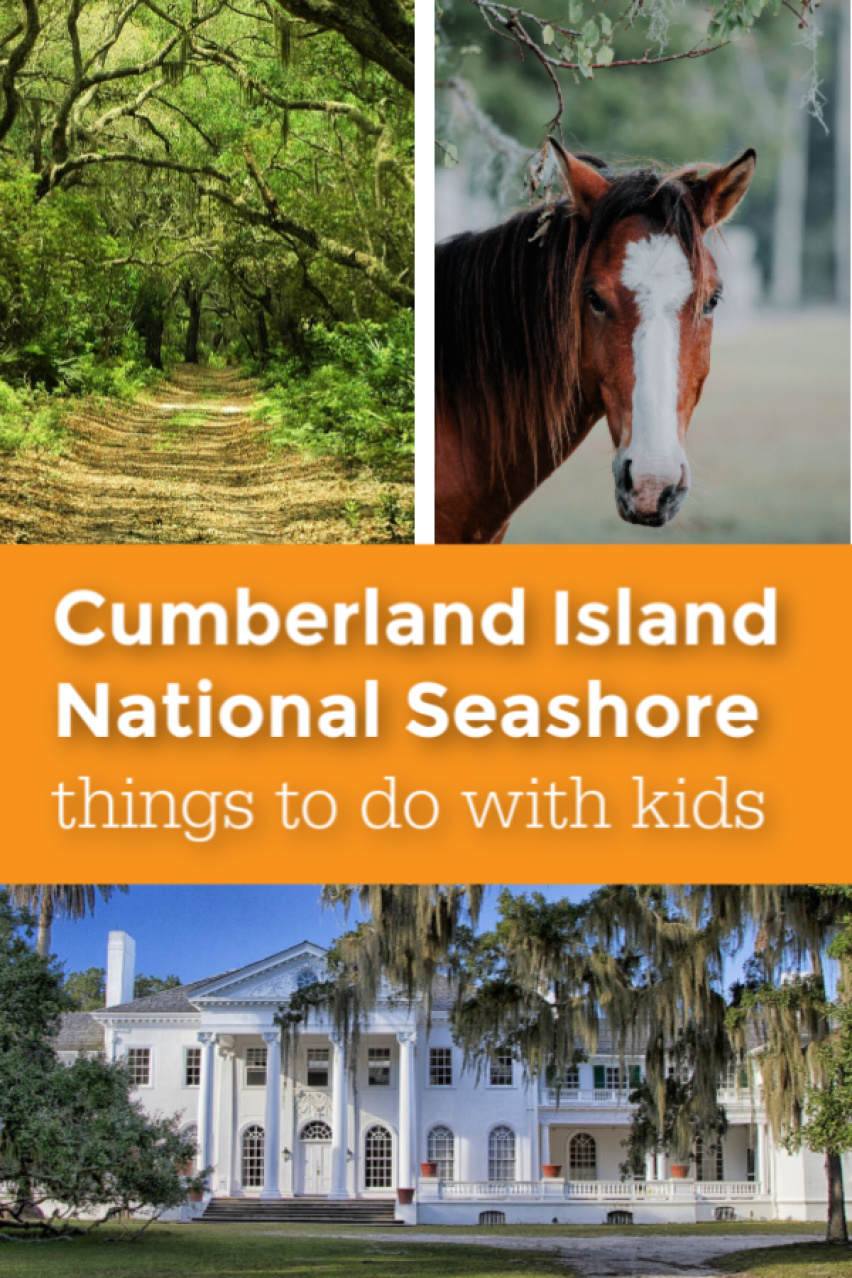 Cumberland Island National Seashore things to do with kids pin.jpg
