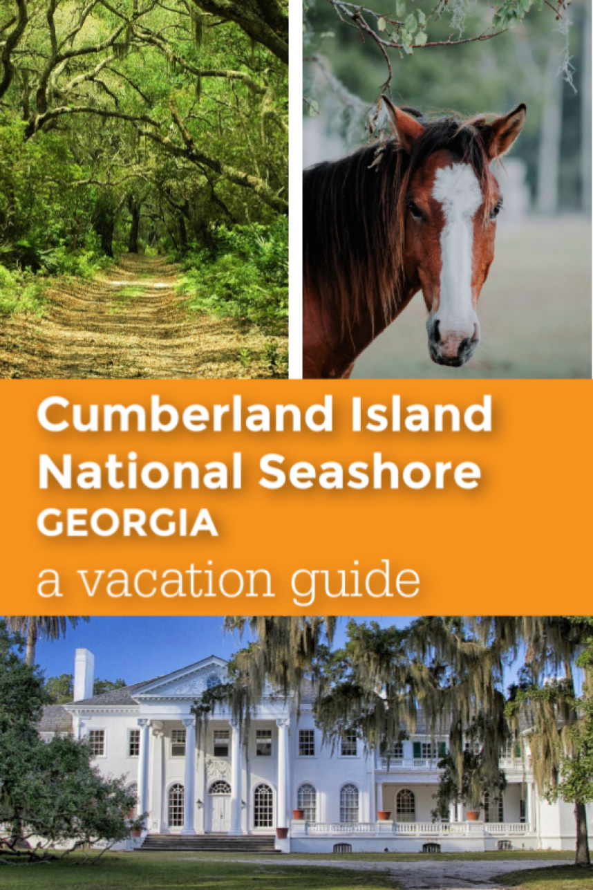 Cumberland Island National Seashore vacation guide pin 2.jpg
