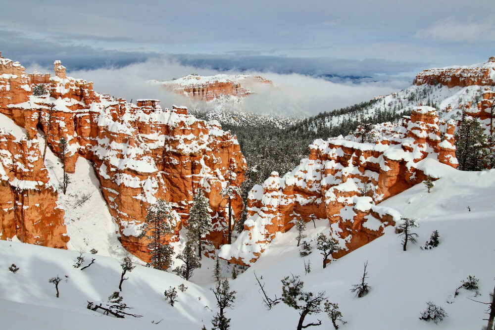Tips for Visiting Zion and Bryce Canyon in Winter Rad Family Travel