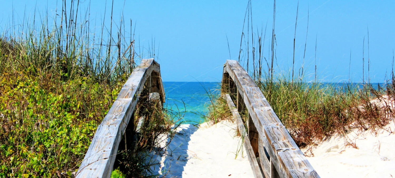 beach-header (1).jpg