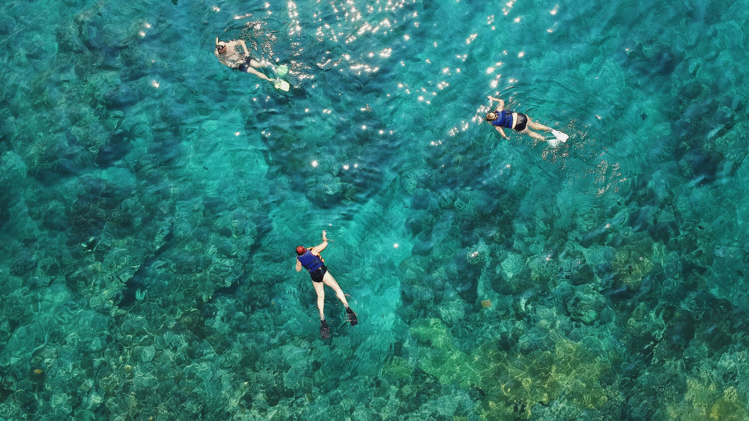 Snorkeling in Cozumel Mexico - You Should Bring the Kids - Rad Family Travel