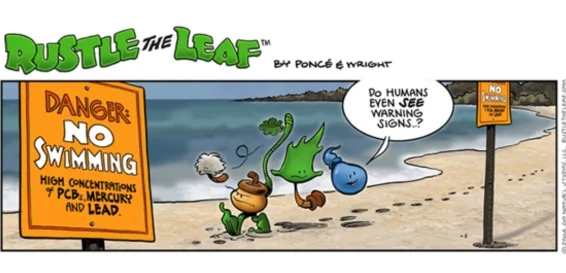 Comic Strip.jpg