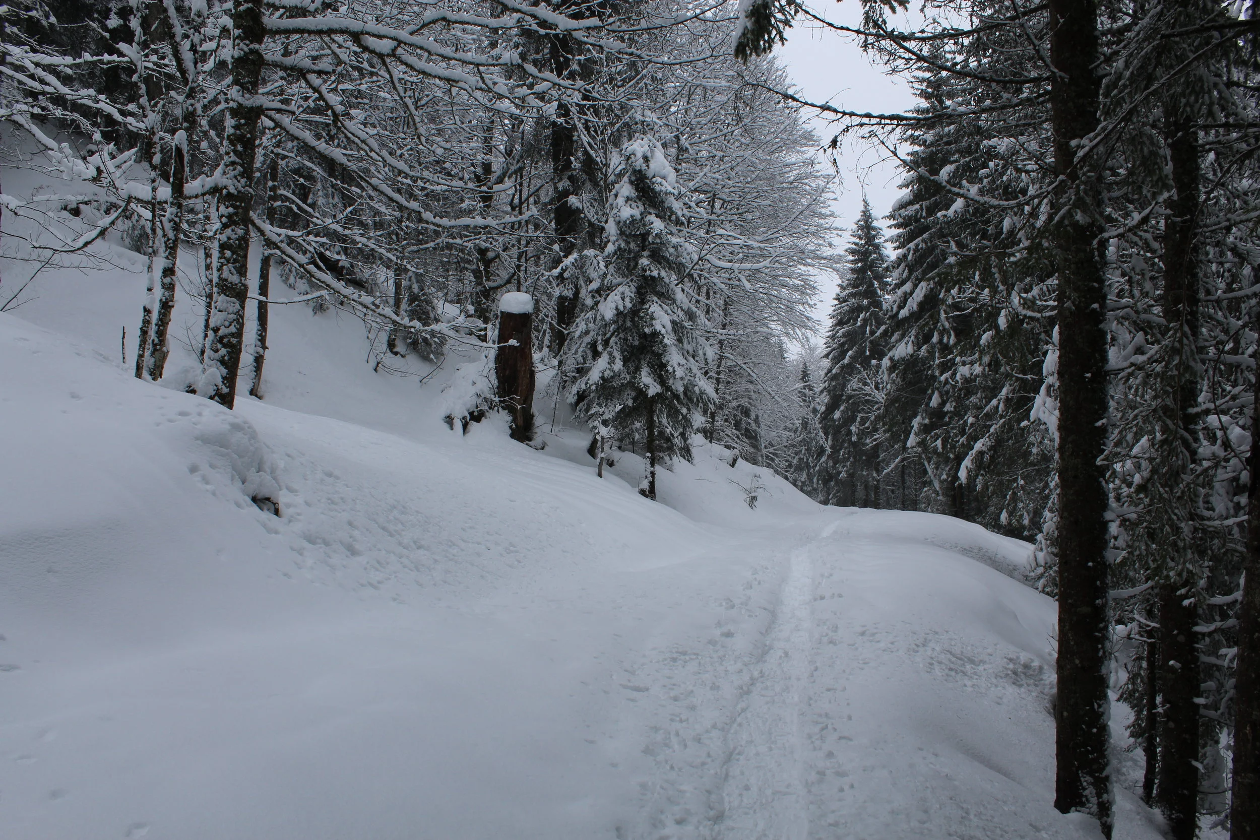 Raquette-Fondue les Paccots