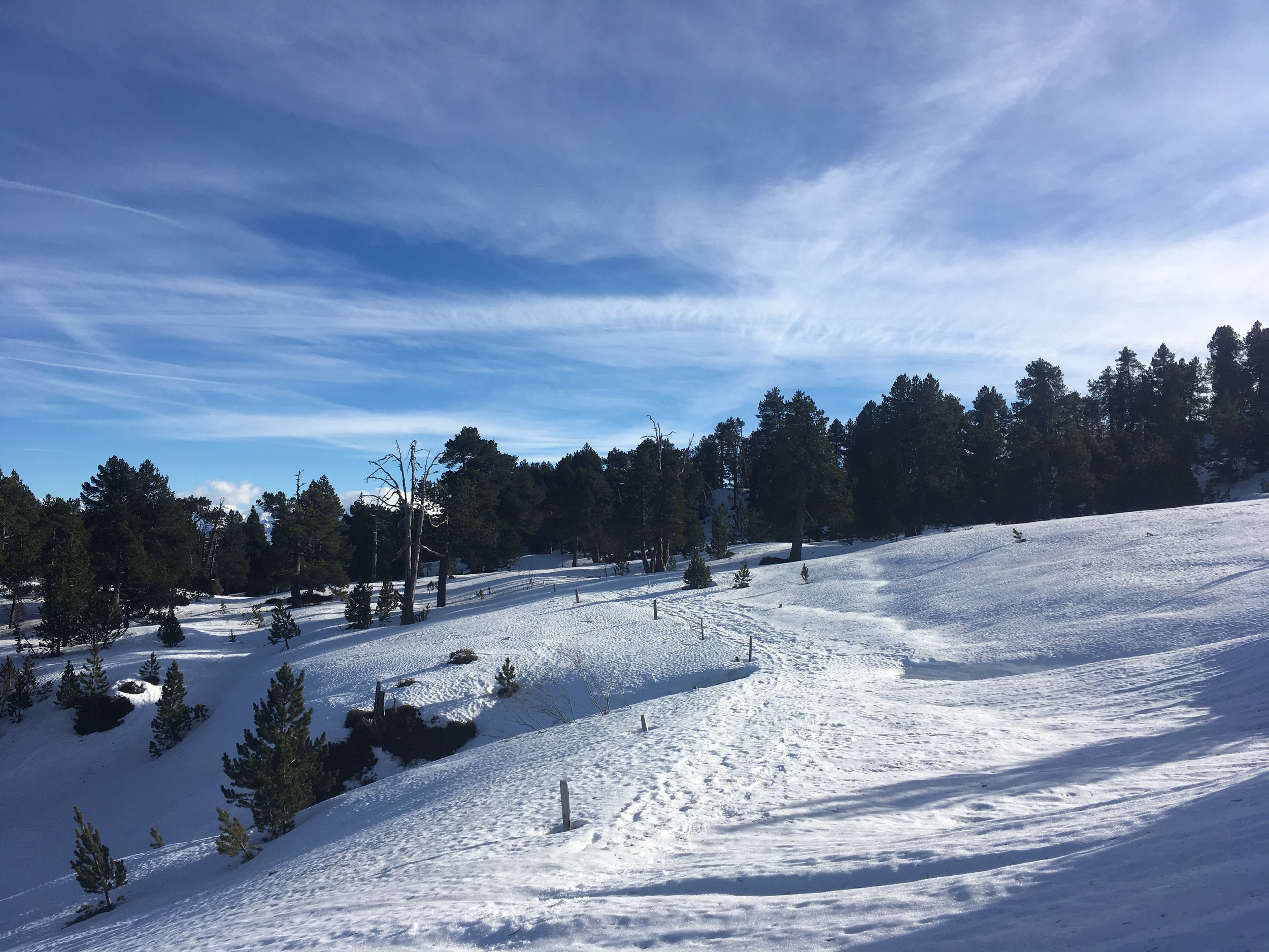 Randonnée en Raquettes. Langis-Glaubenberg