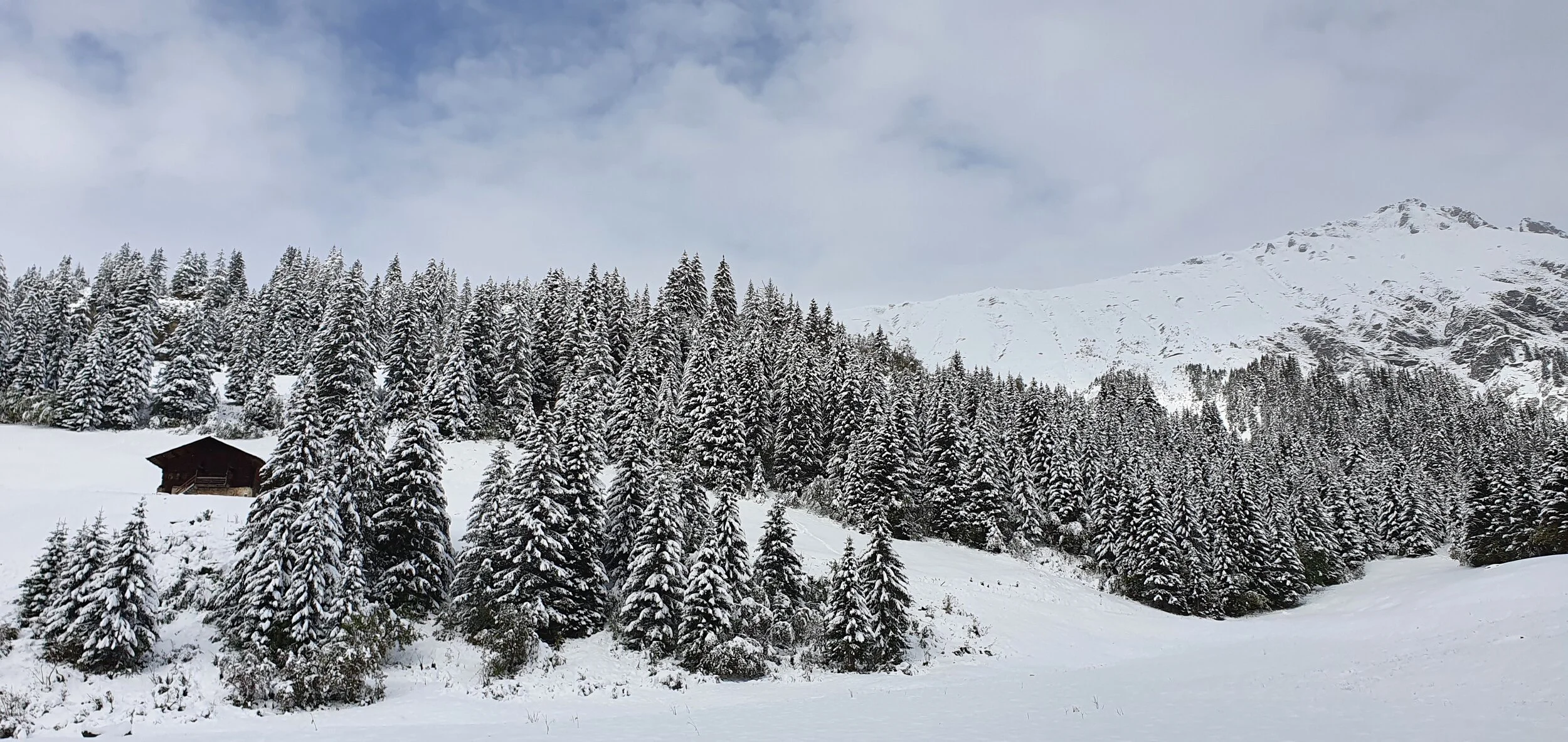 Weekend en raquettes à neige à la Lenk  du 12 au 14.02.2021