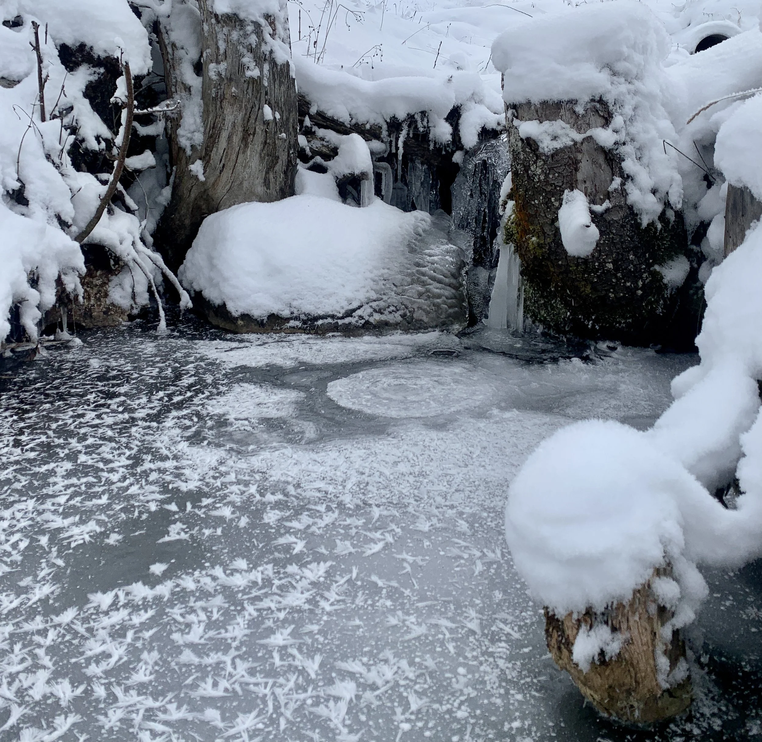 Les soirées de la  Sarouche: raquettes, contes et repas.     