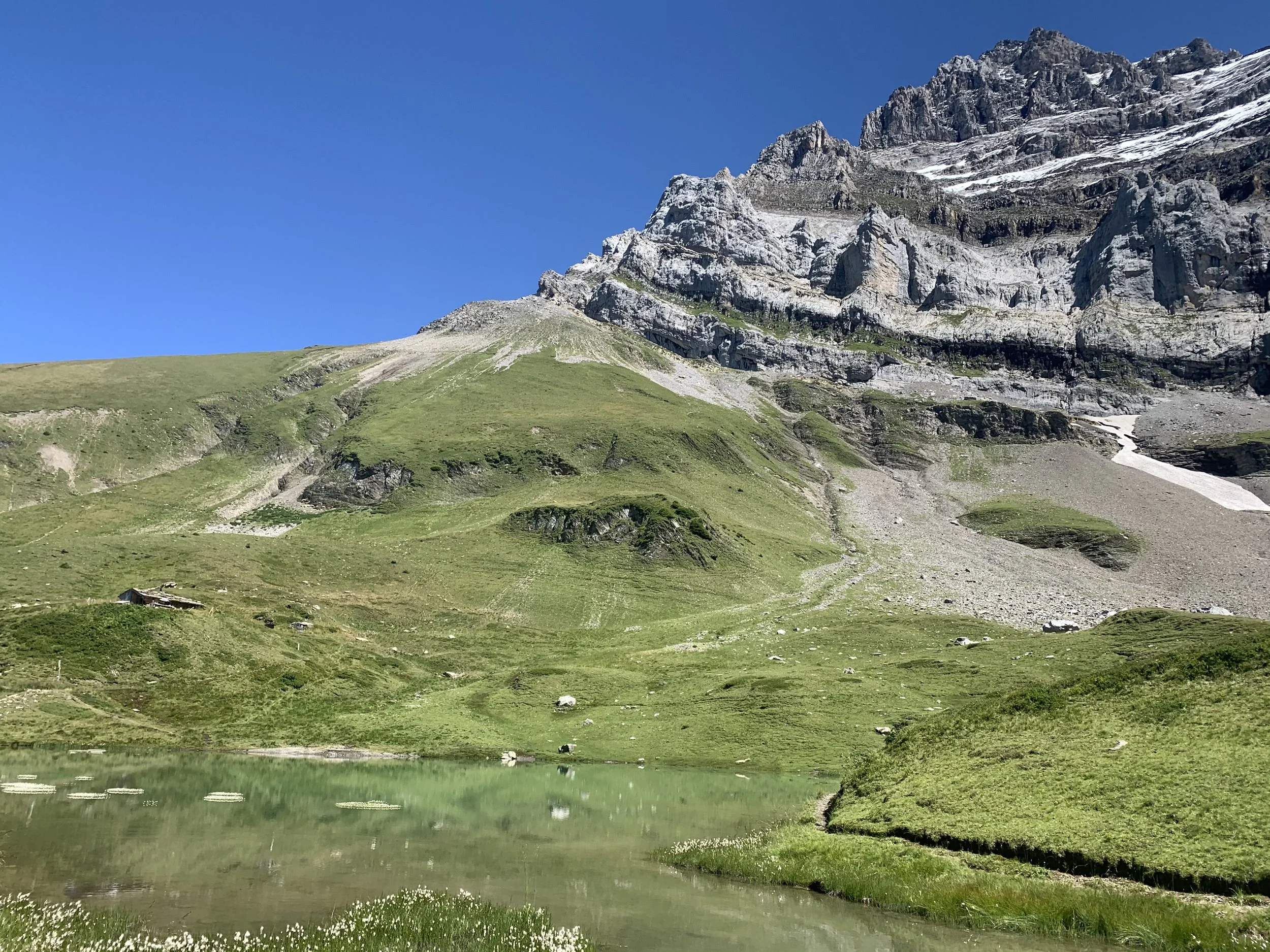 Tour des Dents du Midi du 12 au 15 aout 2025