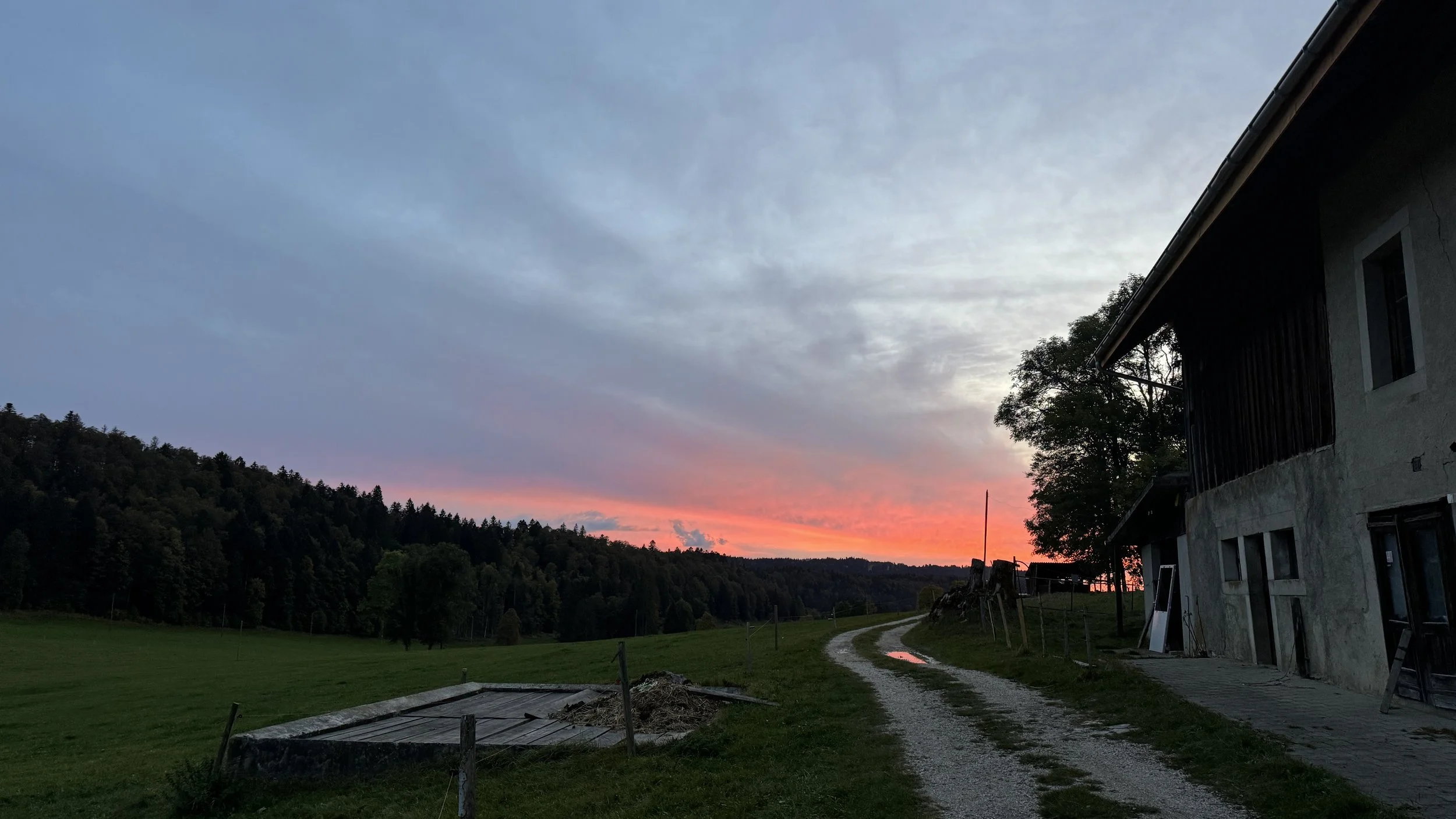 Les animaux en automne. Camp en collaboration avec le WWF  