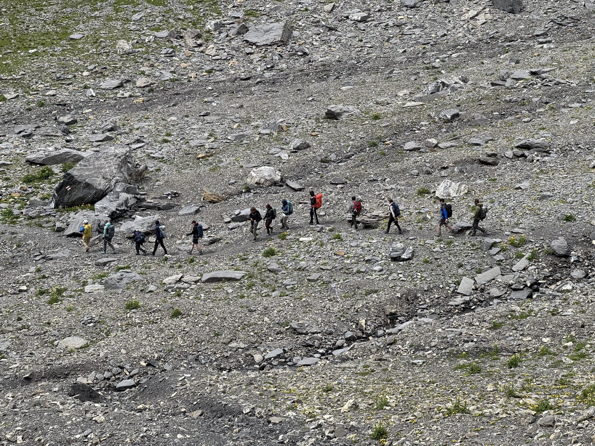 Camp A pied entre pairies et Glacier, en collaboration avec le WWF