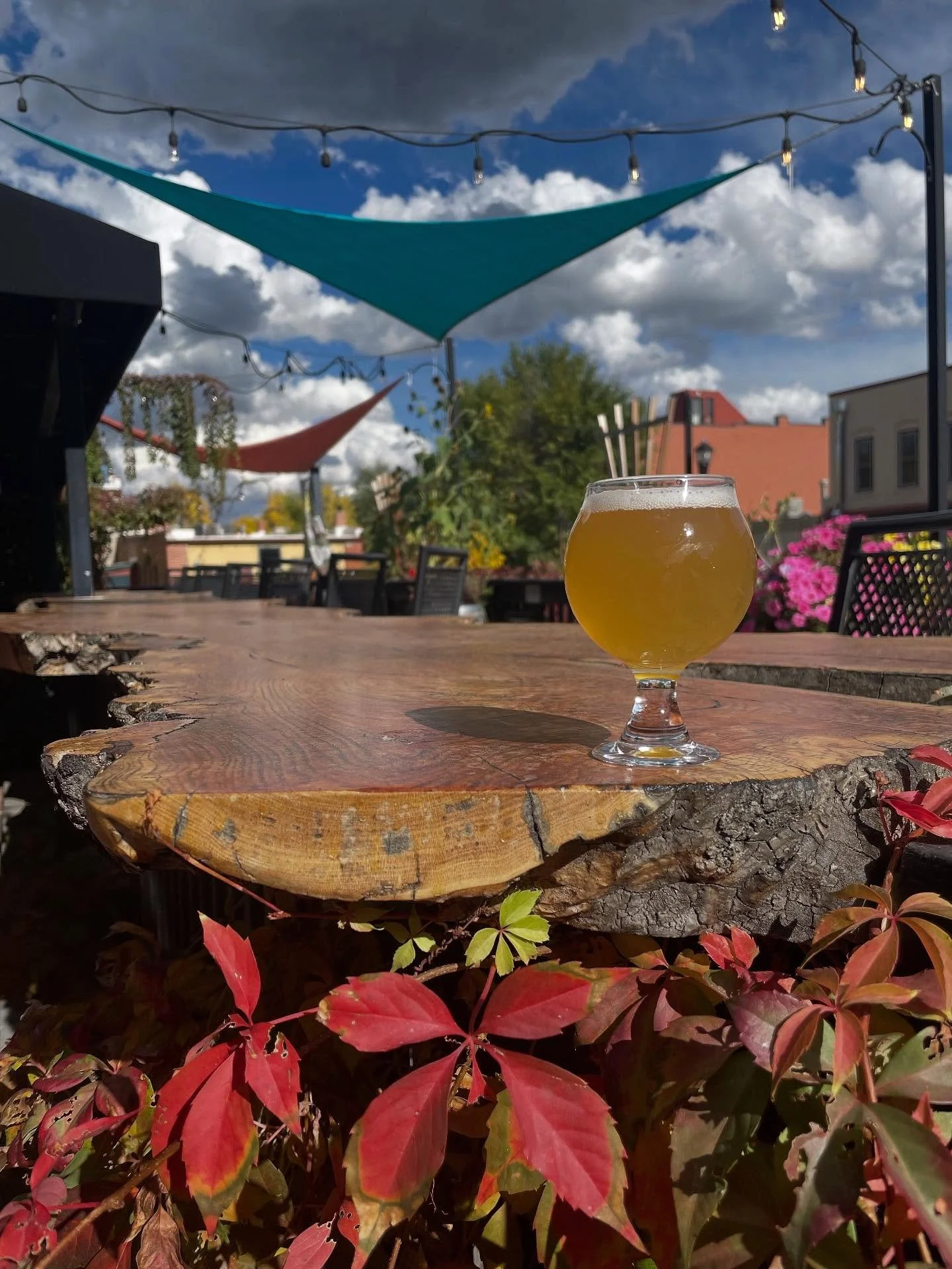 Patio season isn&rsquo;t over yet! 🍂☀️ Come enjoy one on ours!