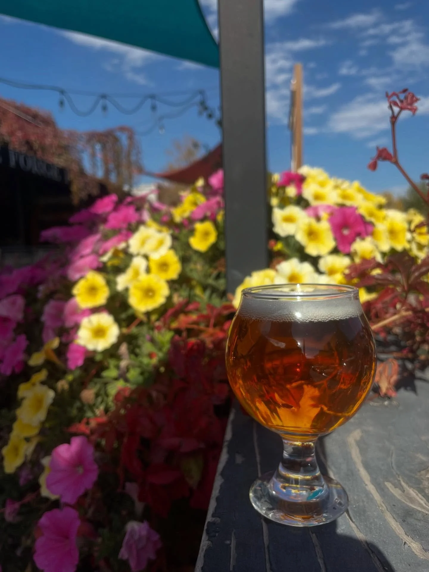 Enjoying this beautiful weather? Come enjoy it with us! Cheers! π€οΈπ»π€