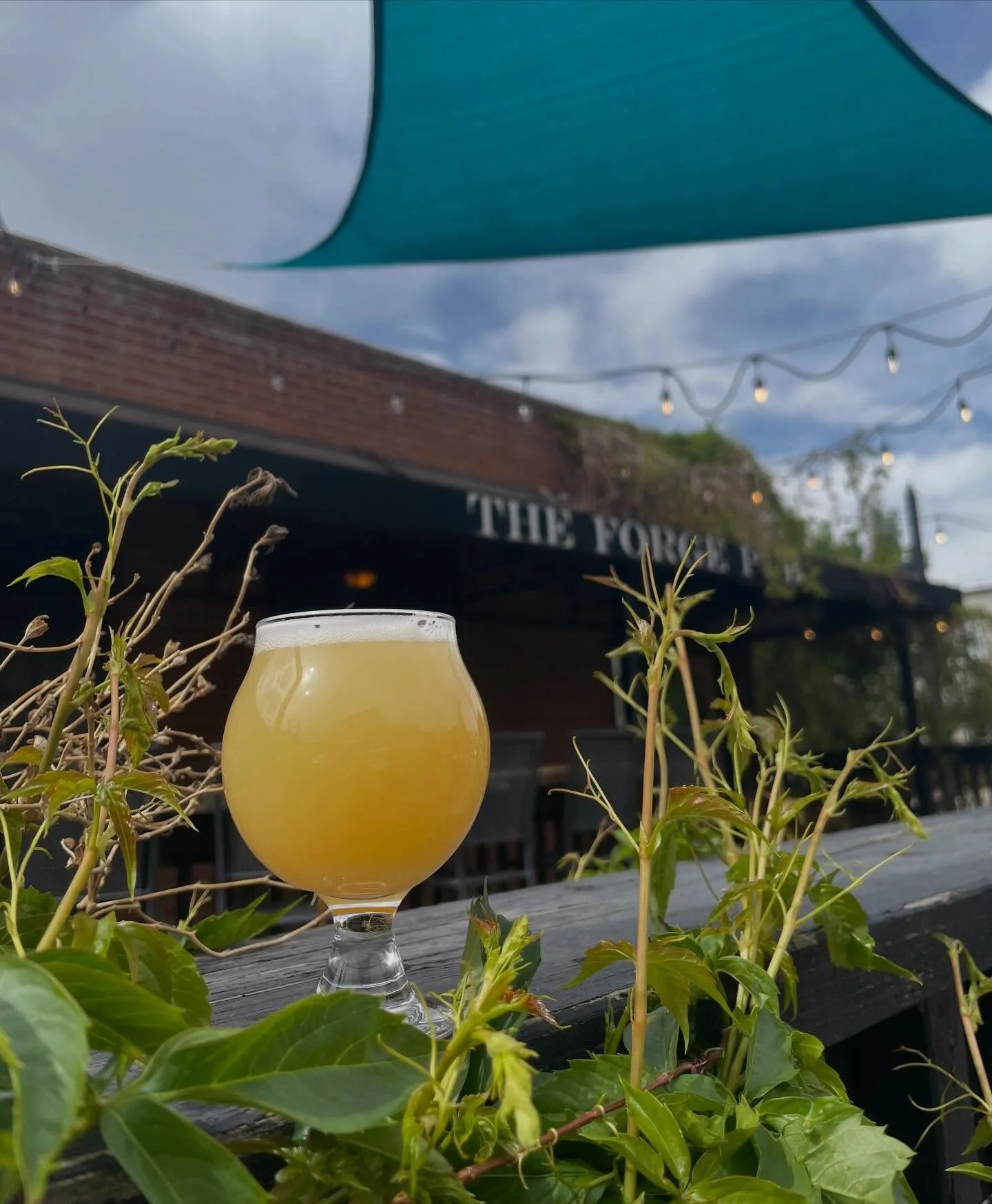 Thursday&rsquo;s call for beer! Come in for a beverage! Open until 10pm 🤘😎