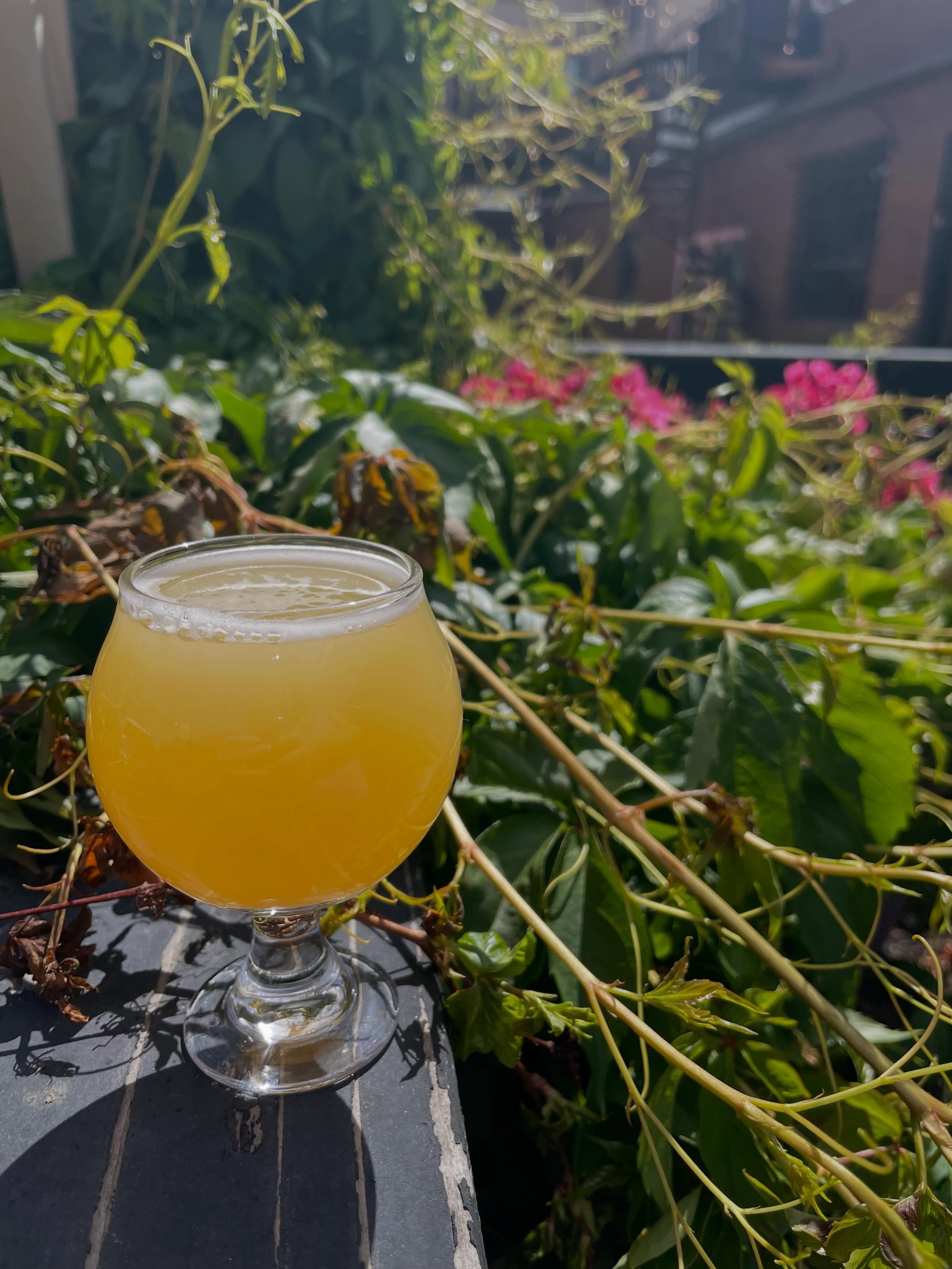You look great drinking a beer on our patio! Come stop by, open until 10pm! ☀️🍻😎