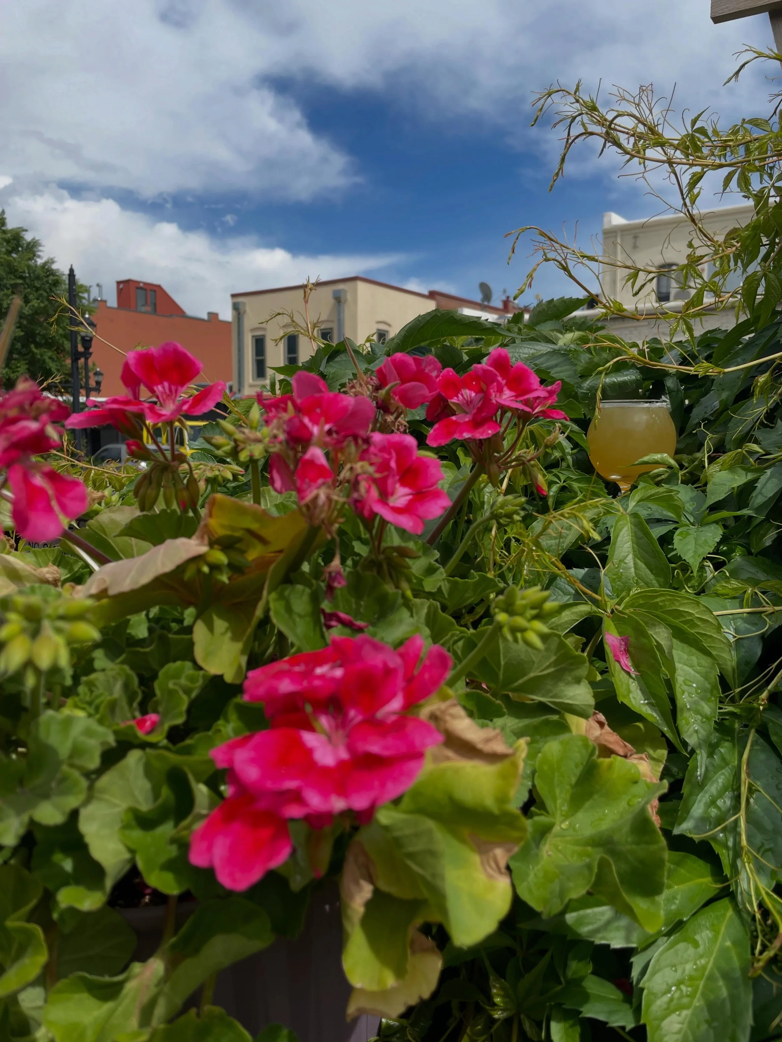 Can you spot the beer? 🍺 Happy Thursday! 🌺