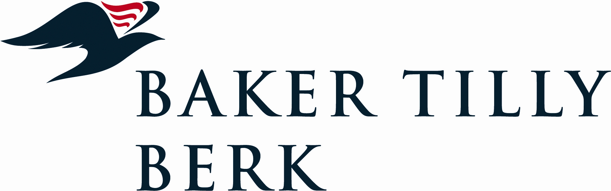 Baker-Tilly-Berk-logo.jpg