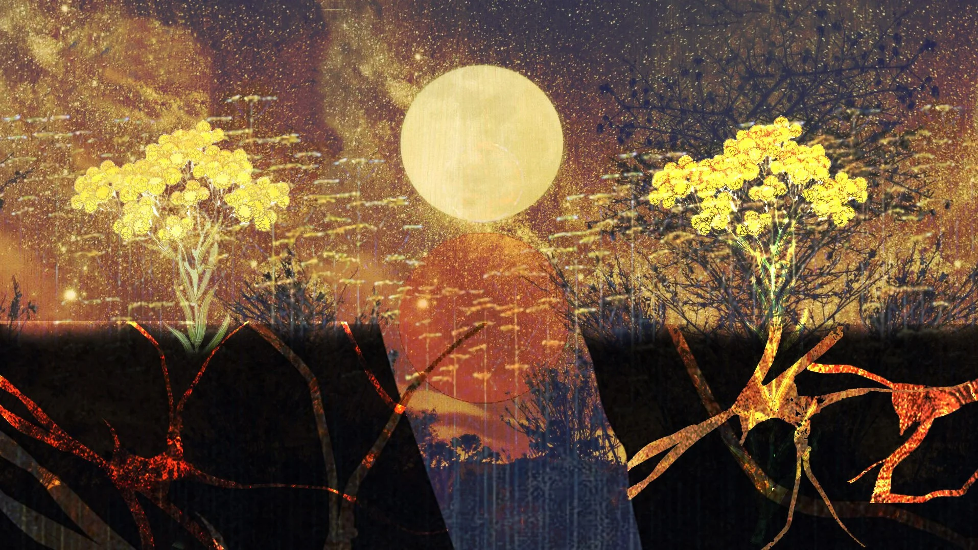 Into the Light - Winter Solstice Practice With Jite