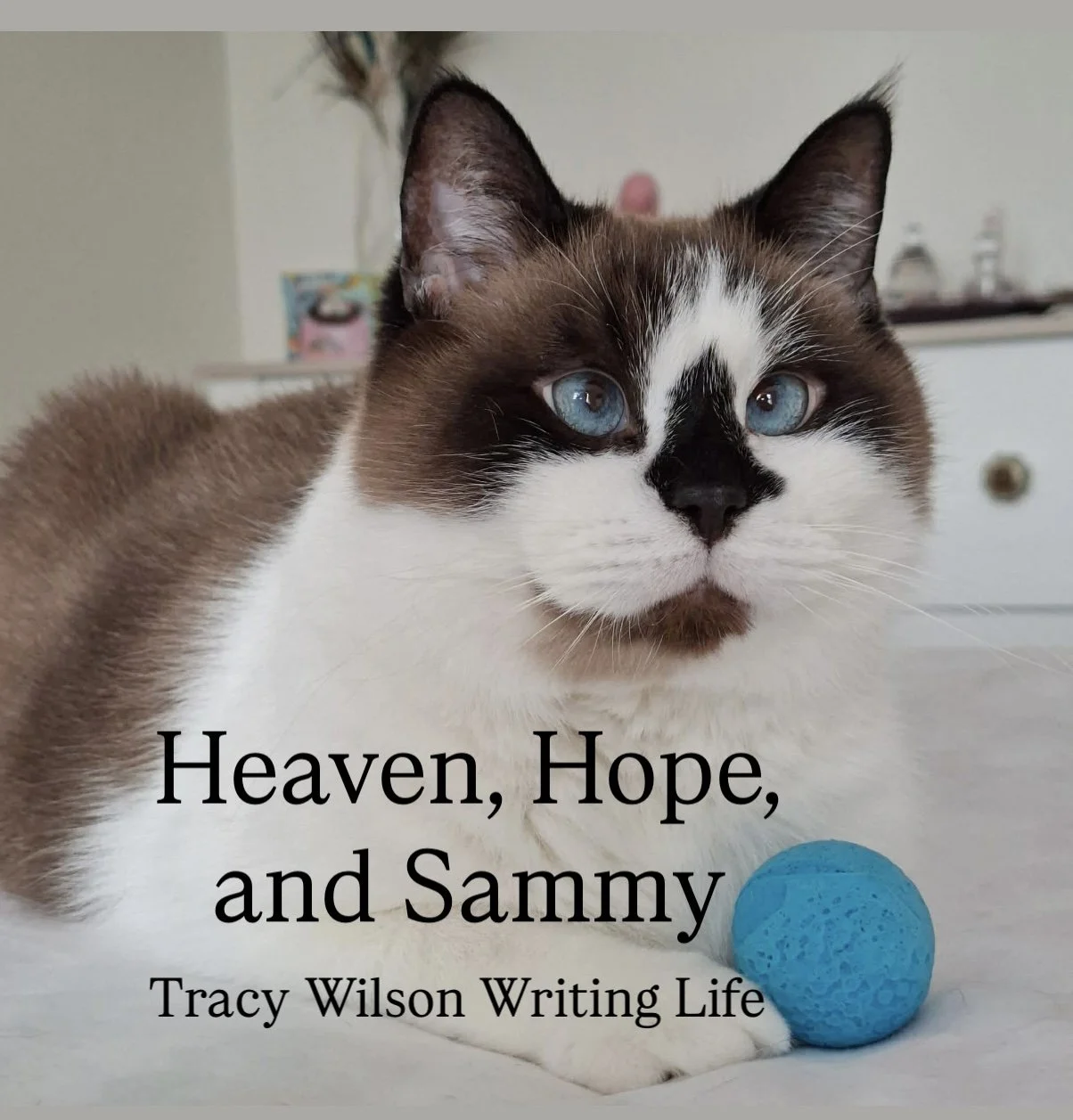 Heaven, Hope, and Sammy the Ca