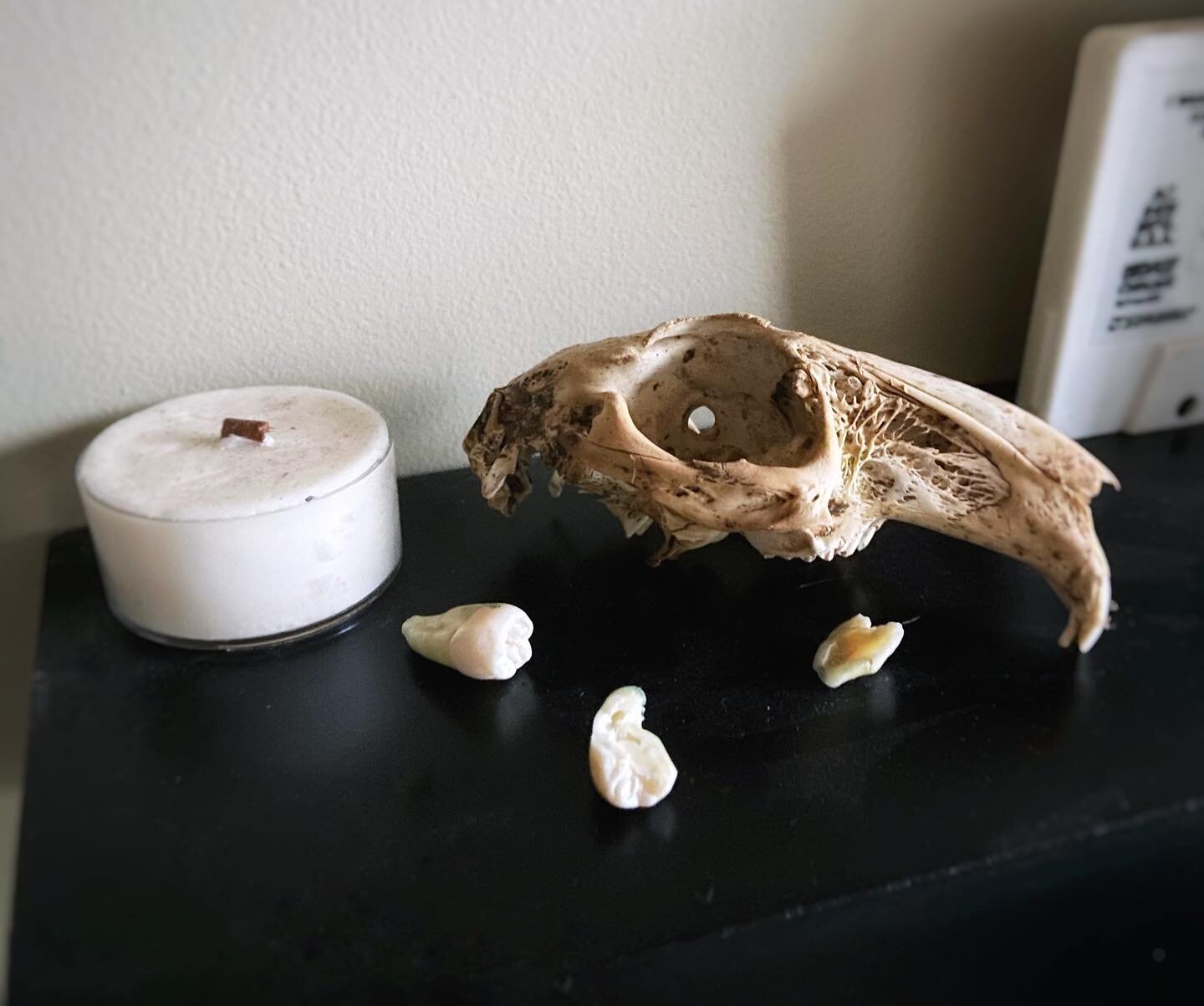 Packing up my little home 🥲