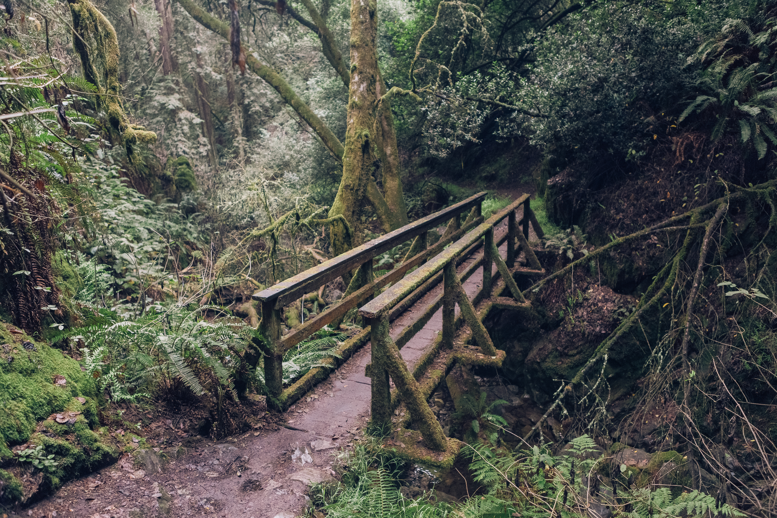 Steep Ravine.