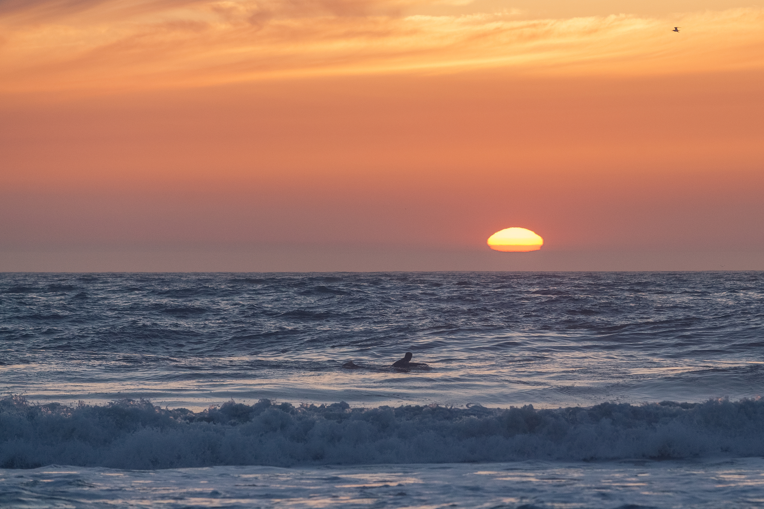Sunset King.