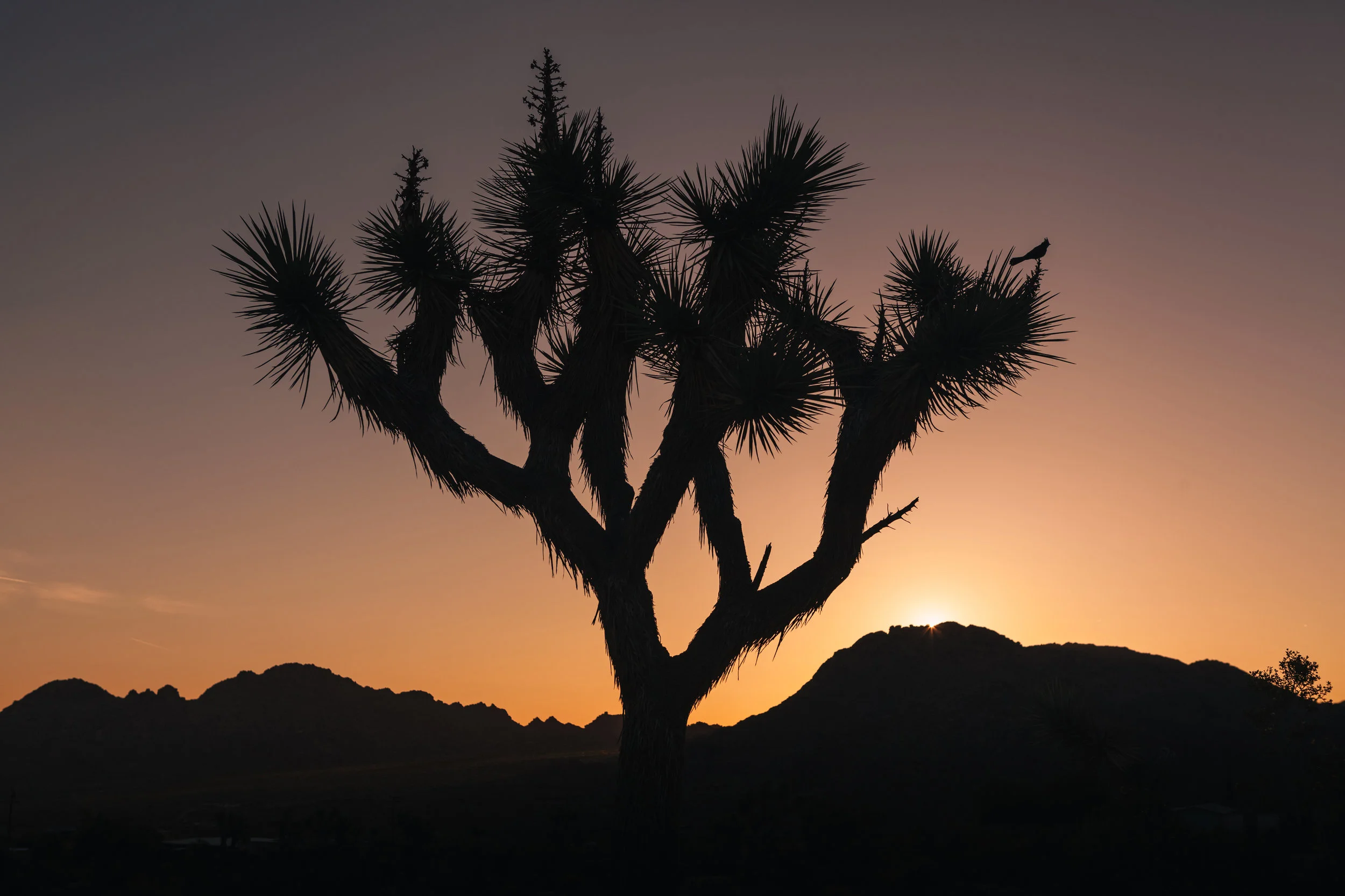 A peaceful easy feeling.