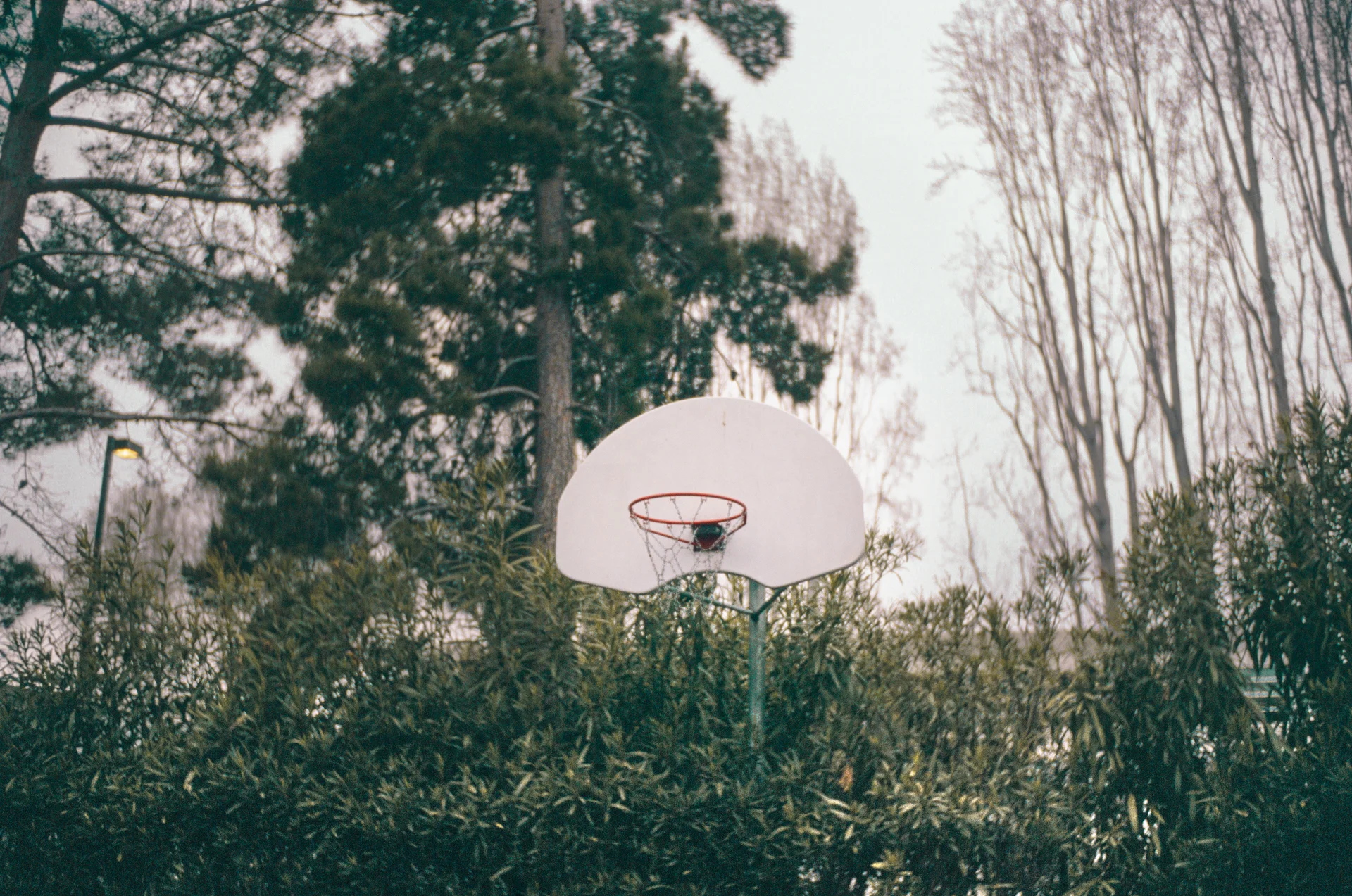 Lonely Hoop.