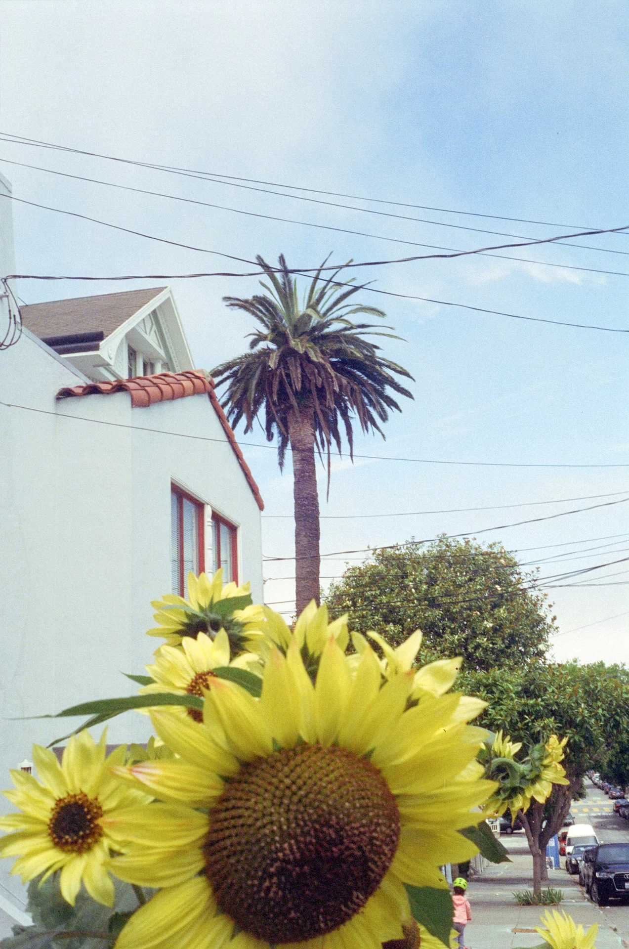 Summer can start.