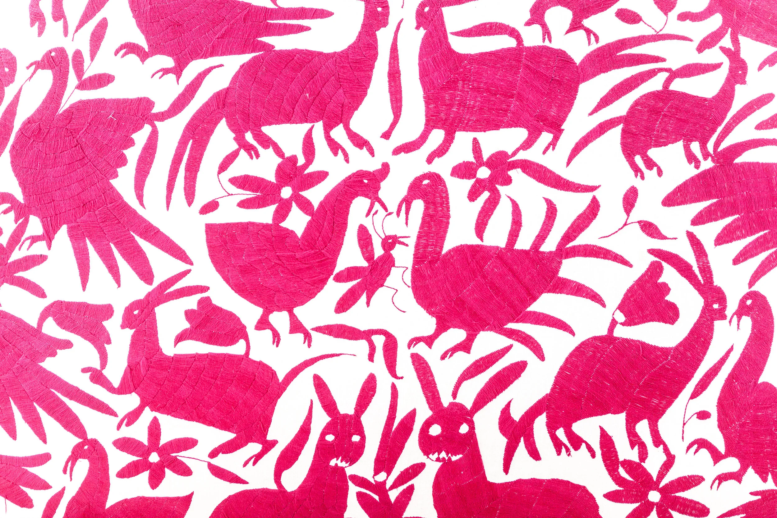 Trópico de Color.