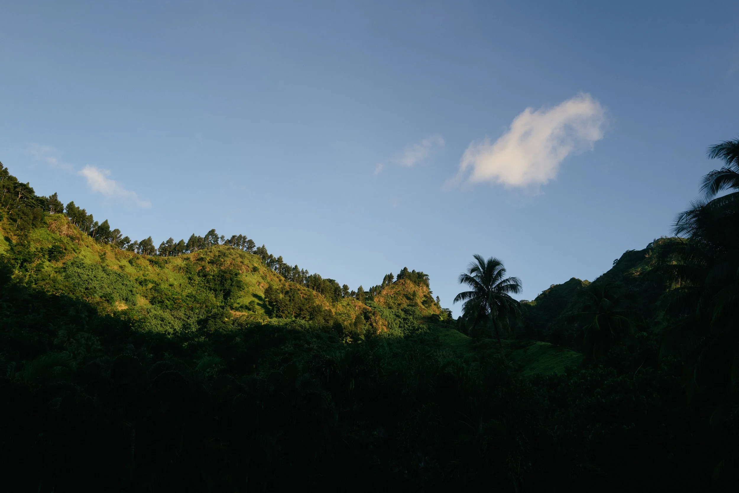 Maururu