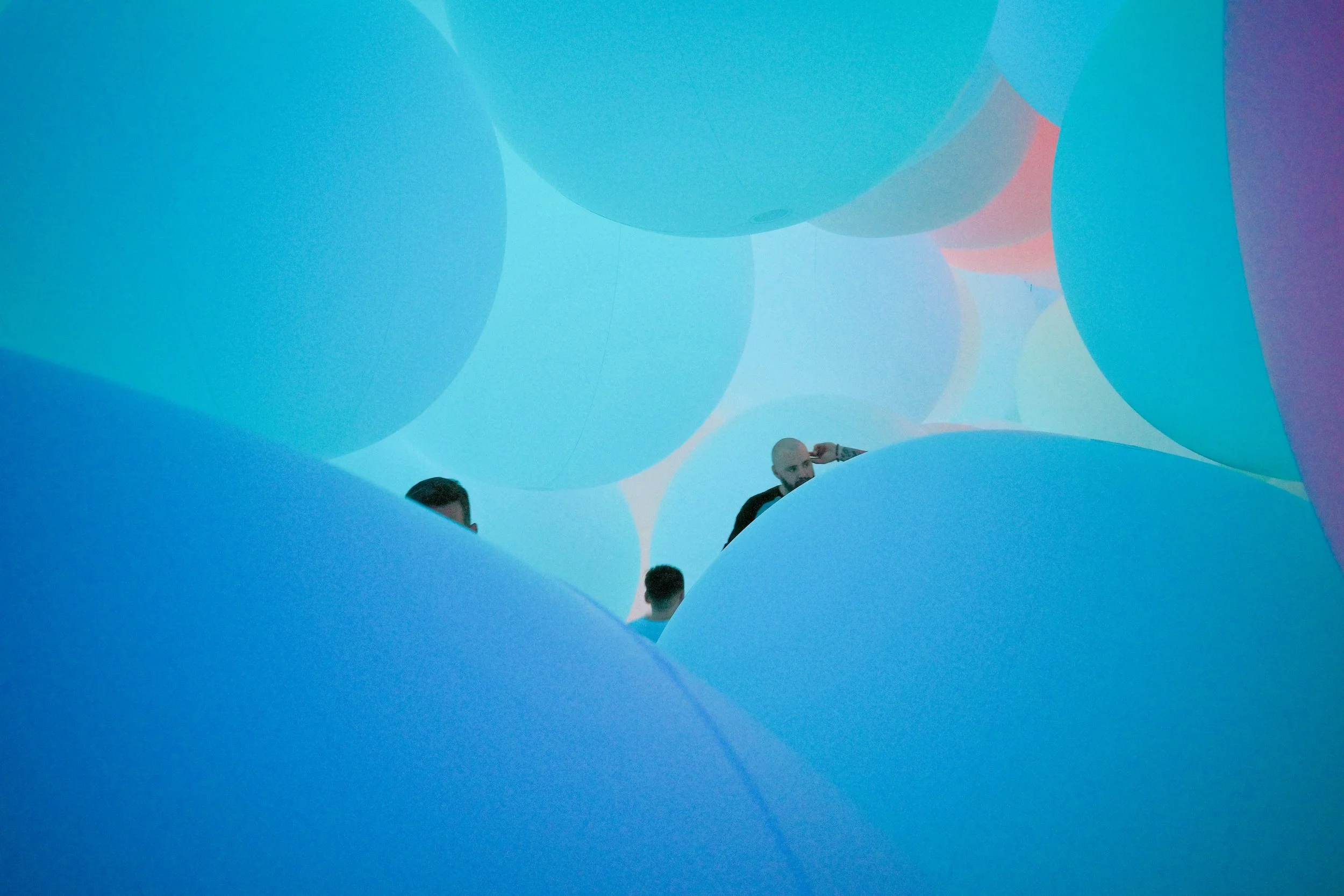 Sensory Flux