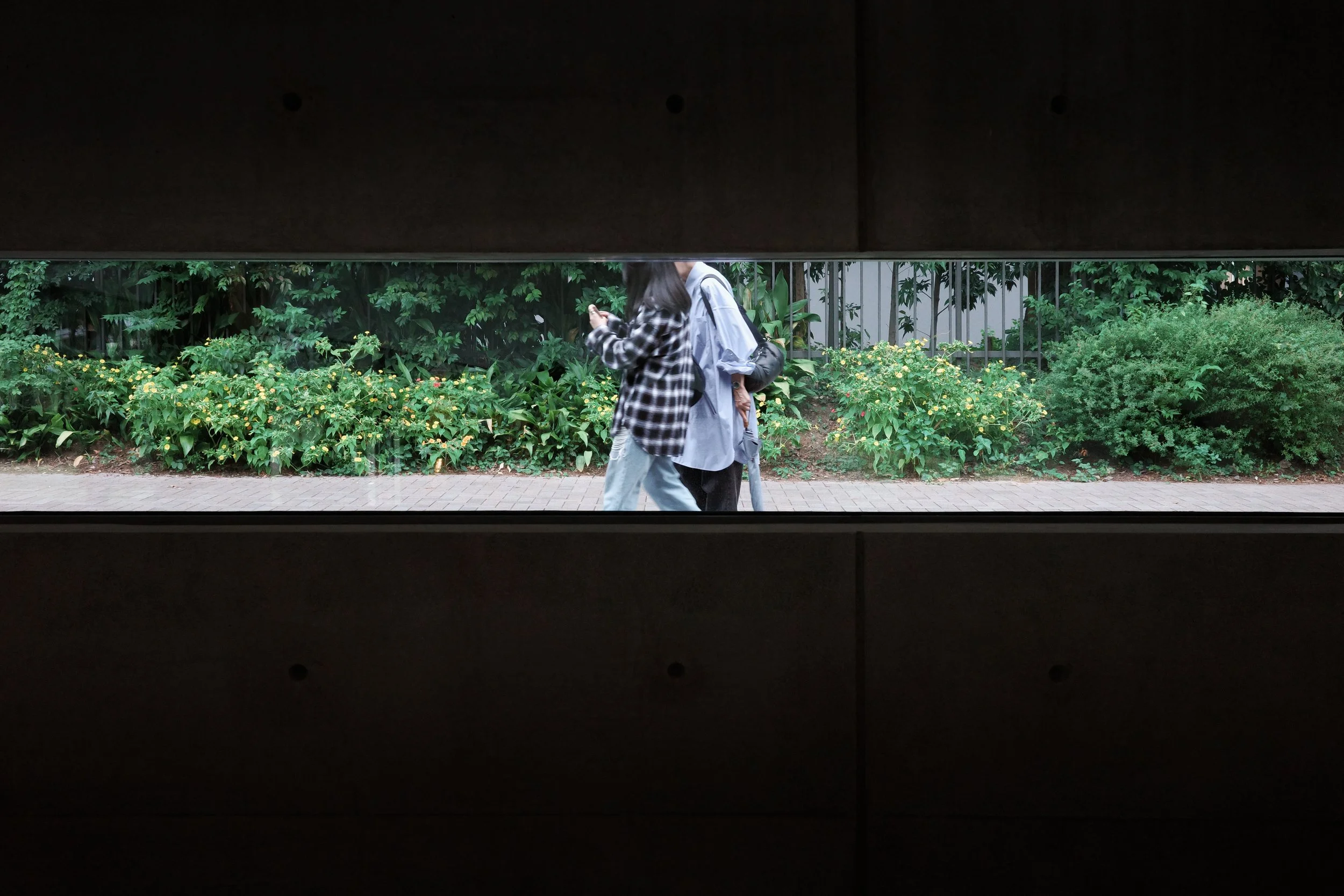Lines of Sight