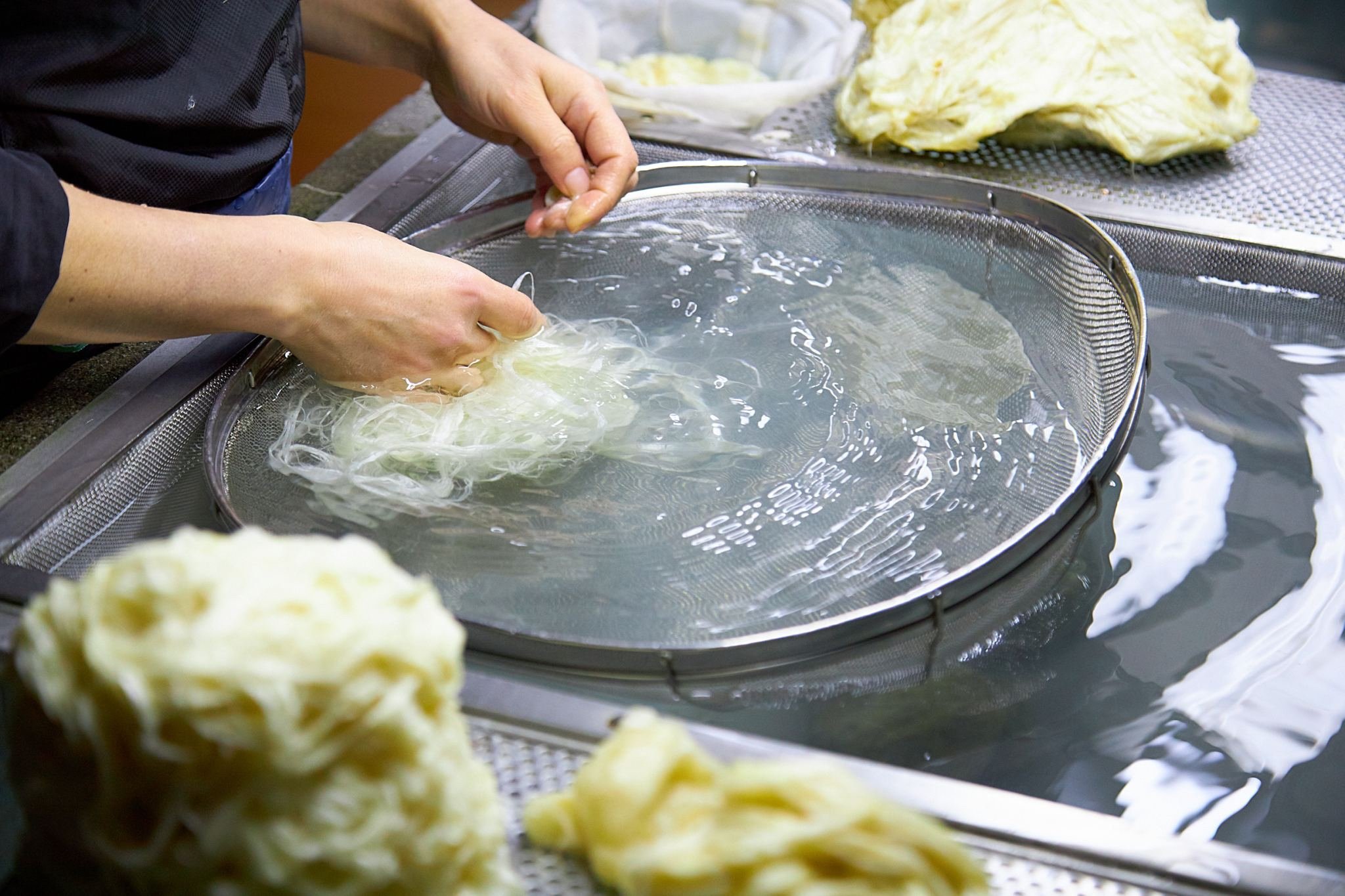 Harvesting Washi Tokunaga