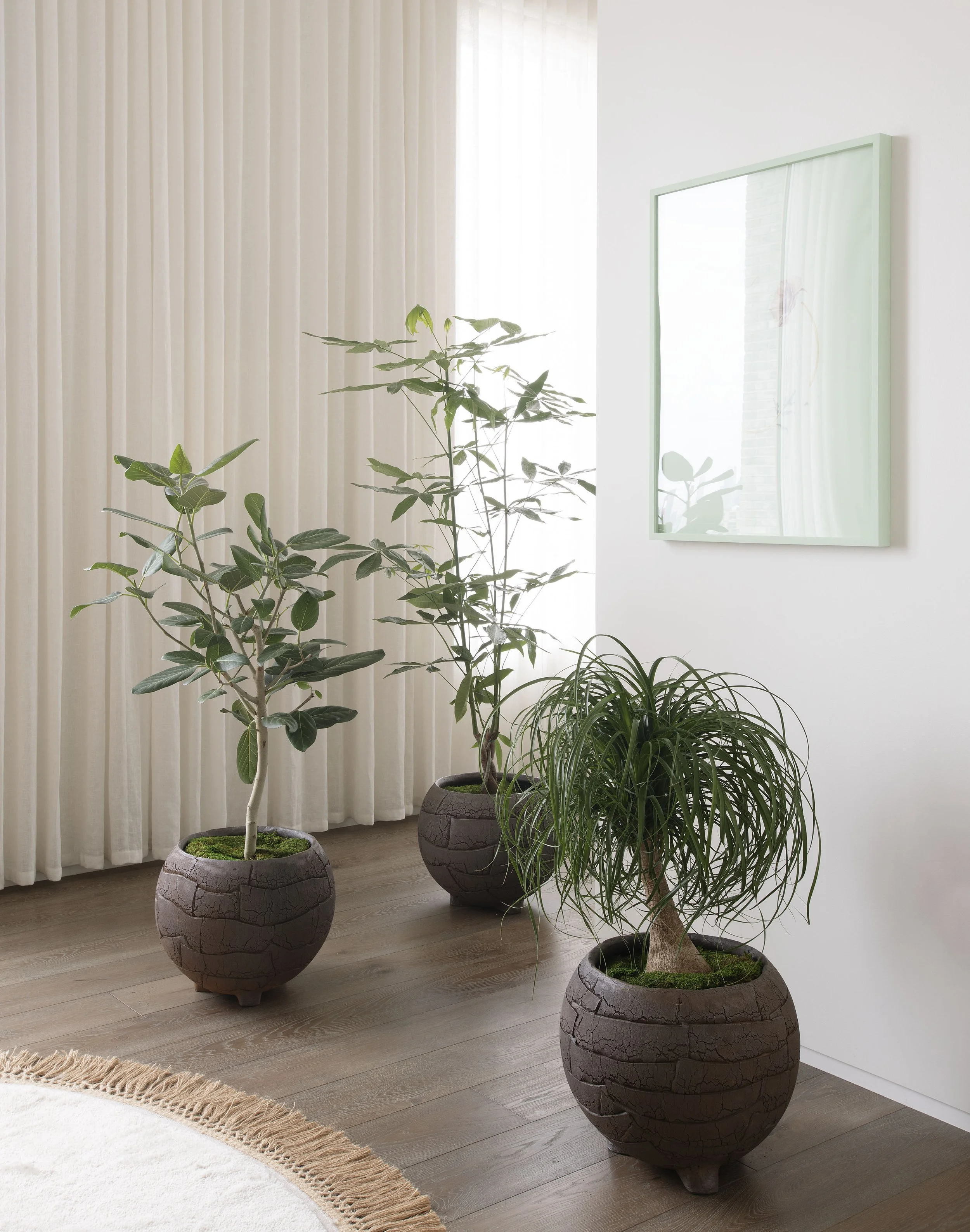 Toshihiko Yoshimoto_CO-12 Grouping_by Matthew Williams.jpg