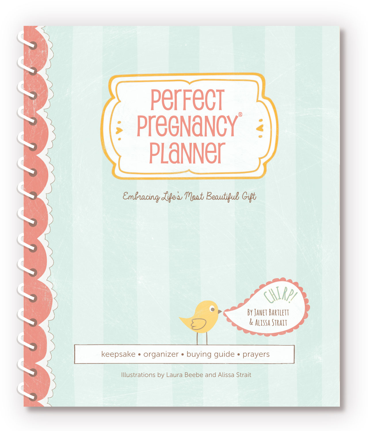 Introducing the Perfect Pregnancy Planner