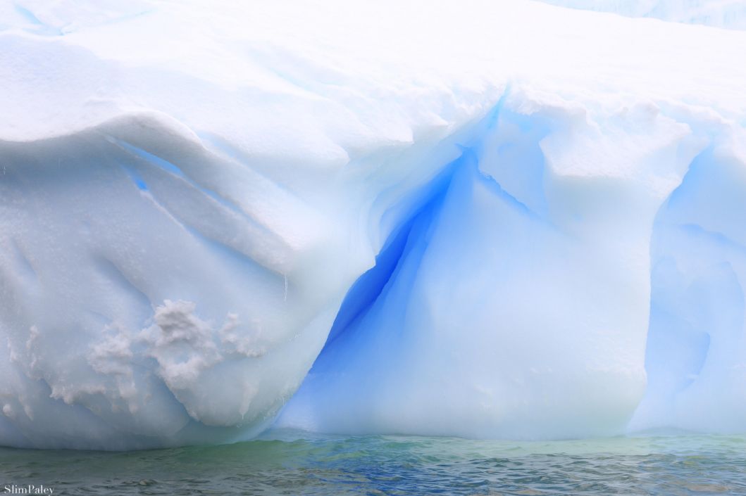 Icebergs in Antarctica For more stunning photos go to slim paley .