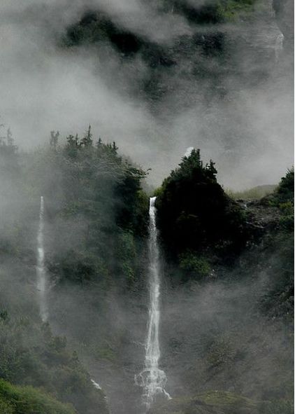 Enchanted Valley, Olympic National Park "16 Most Beautiful Places to Visit in Washington" via thecrazytourist