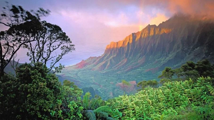 Kauai, Hawaii (Credit: Trip Advisor) To see more photos like these go here . 
