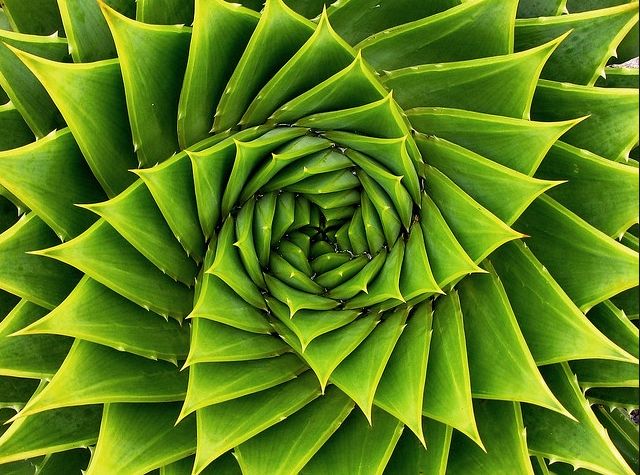 From Pinterest 