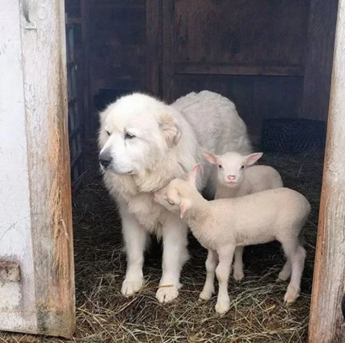 need each other4.jpg