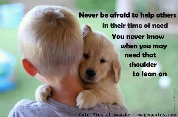 From best image quotes