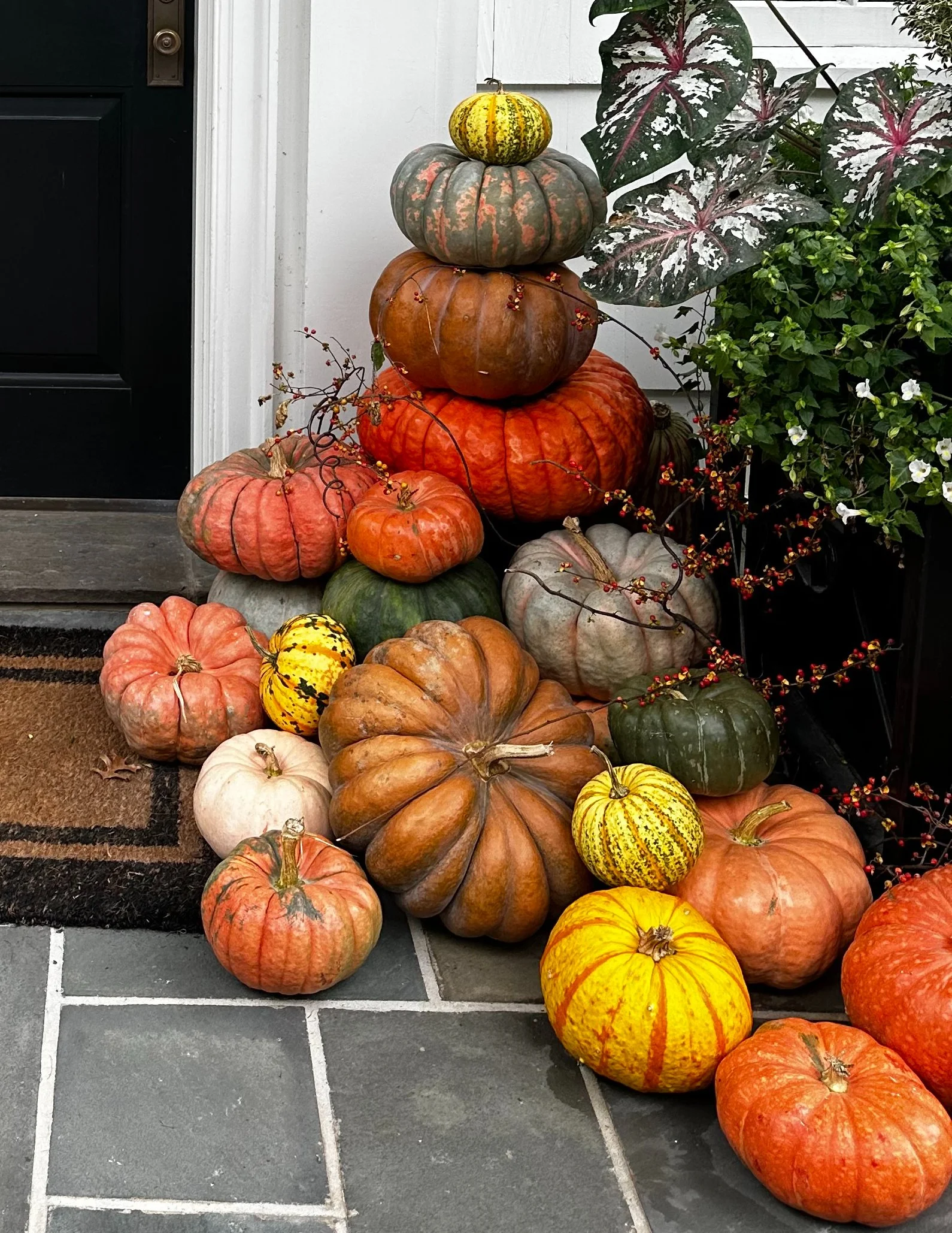 Porch pumpkins.jpg