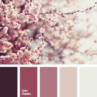 Image credit colourpalette.net
