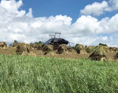 A horse-drawn binder sitting in a field.