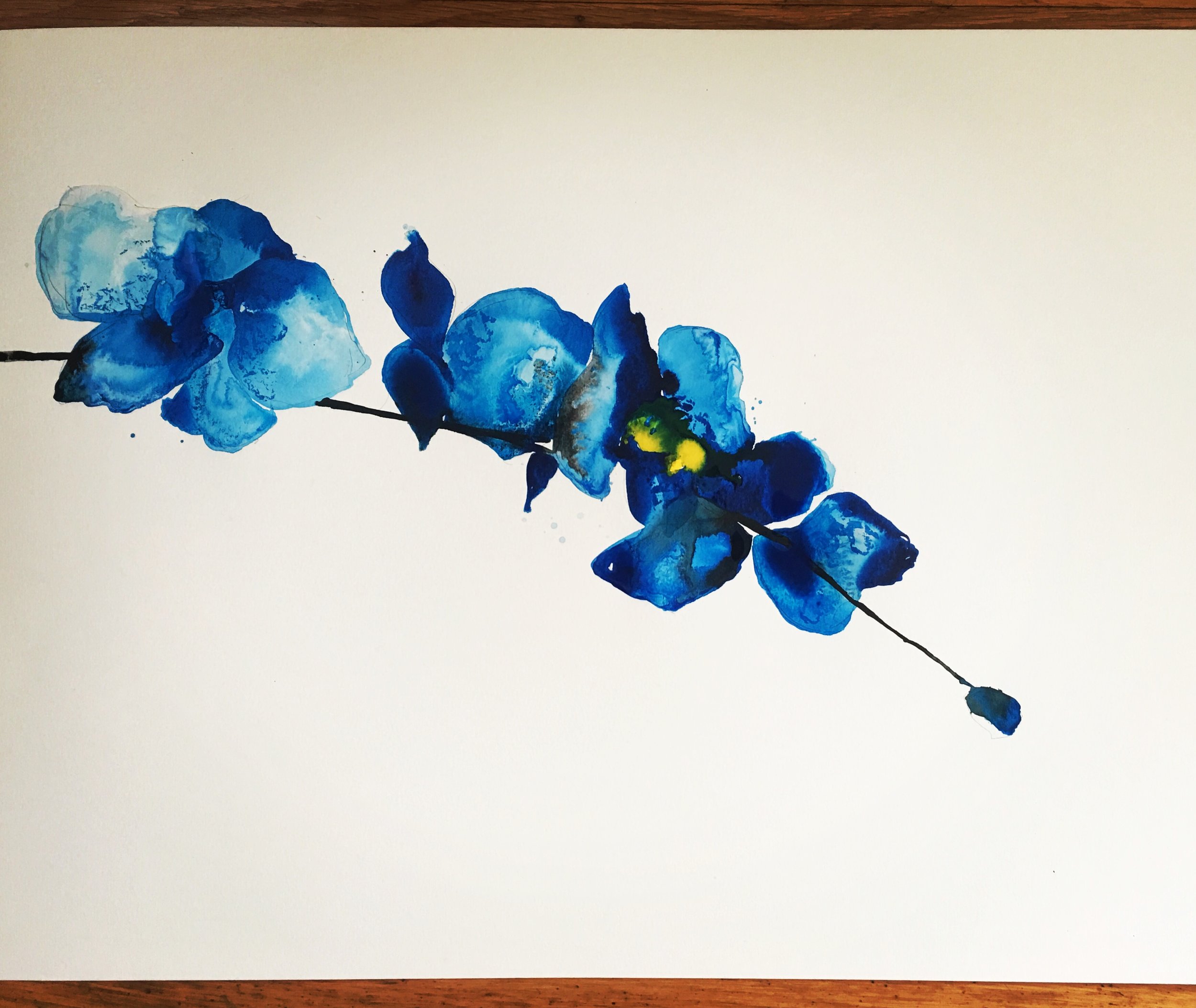 blue orchid 1 (private collection)