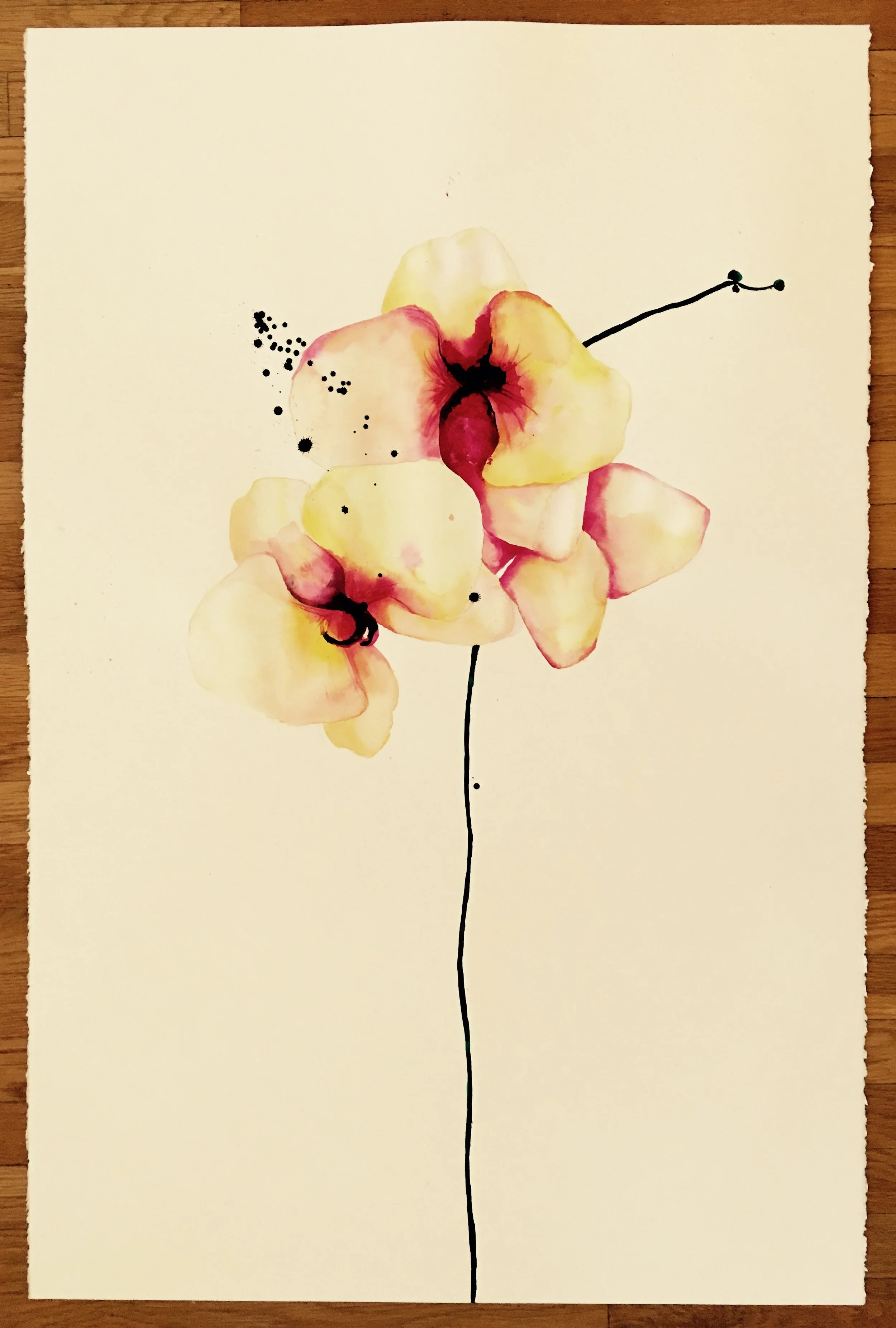 yellow orchid 1 (inquire for price)